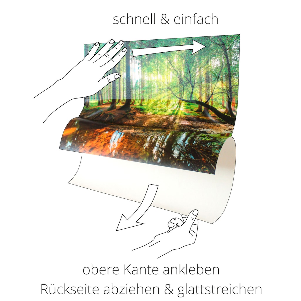 Artland Wandbild »Kräuter«, Pflanzen, (1 St.)