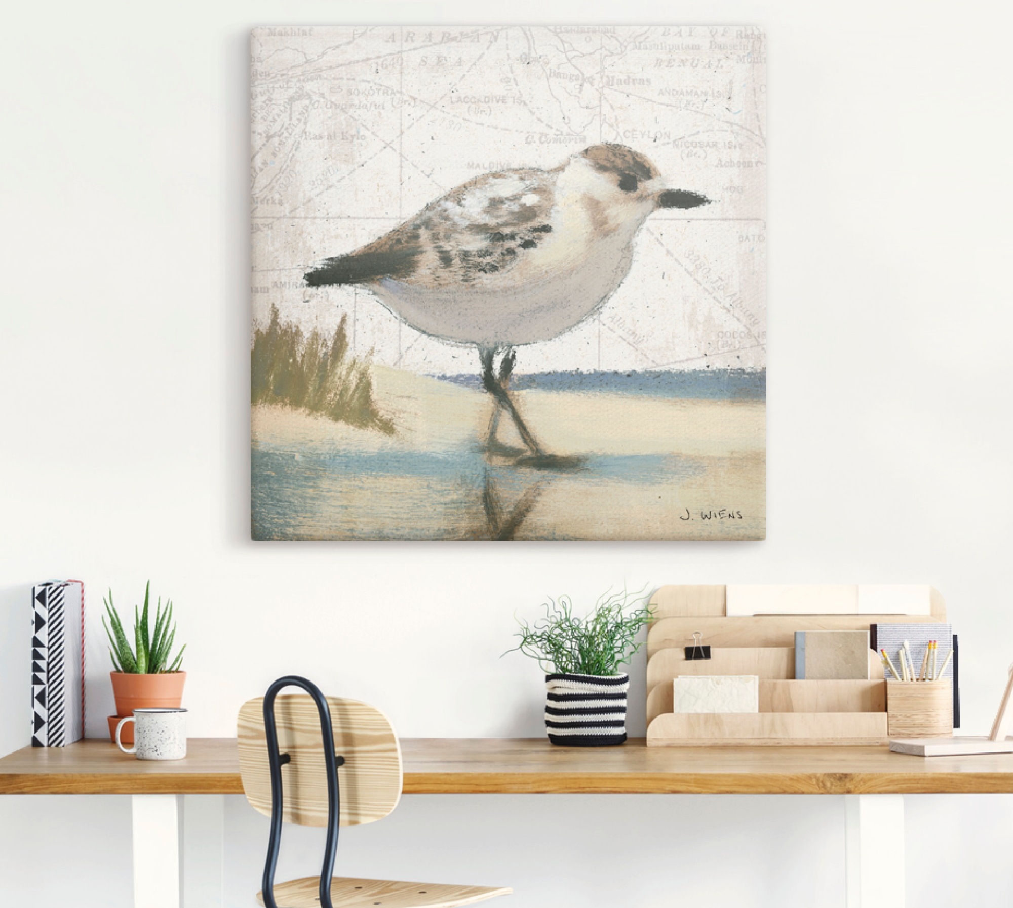 Artland Wandbild »Möwe I« Vögel 1 Stk. tlg. als Leinwandbild, Wandaufkleber günstig online kaufen