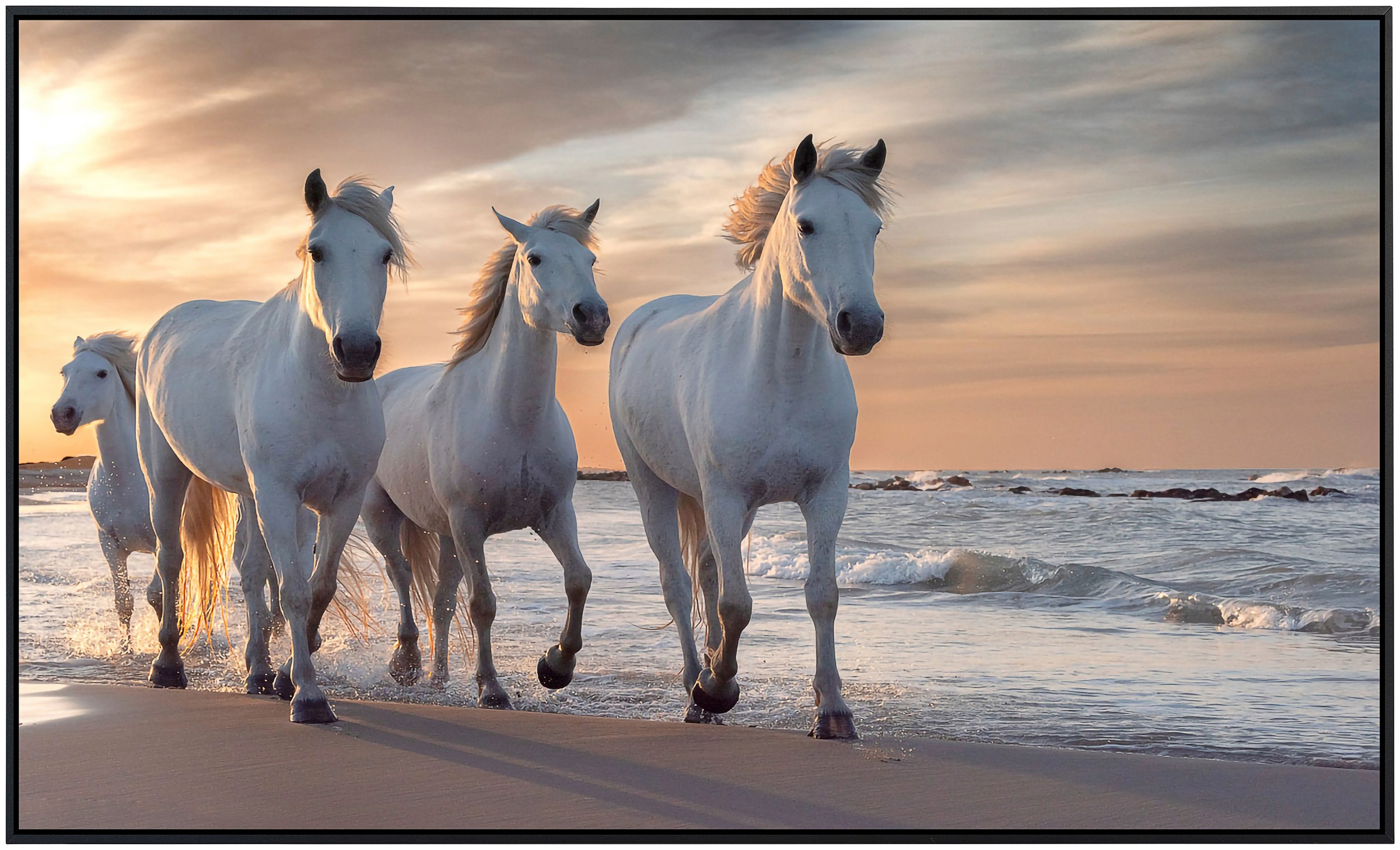 Papermoon Infrarotheizung »Pferde am strand«, sehr angenehme Strahlungswärme