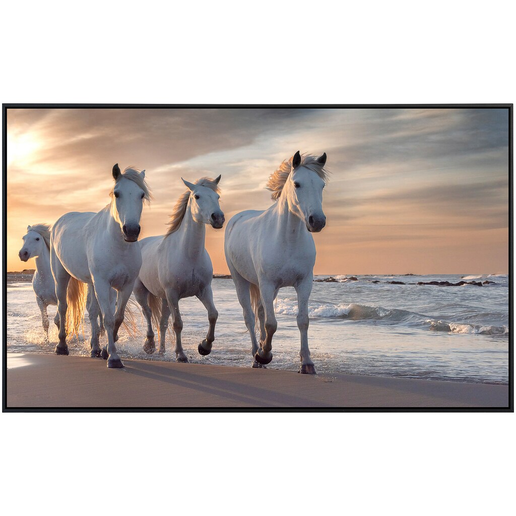 Papermoon Infrarotheizung »Pferde am strand«