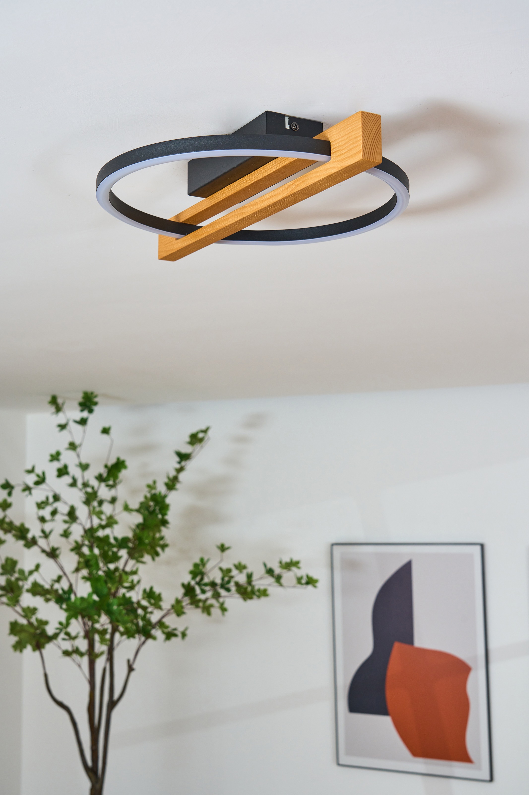 ECO-LIGHT LED Deckenleuchte »LED-Deckenleuchte TOVAK«, 1 flammig, Leuchtmittel LED-Board | LED fest integriert