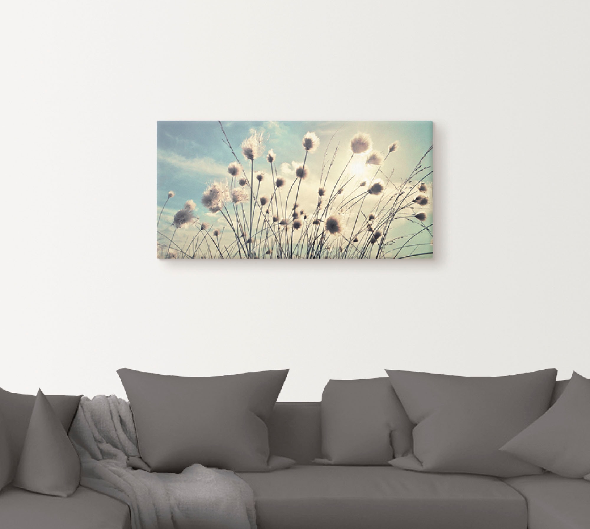 Artland Wandbild "Wollgras", Gräser, (1 St.), als Alubild, Outdoorbild, Lei günstig online kaufen