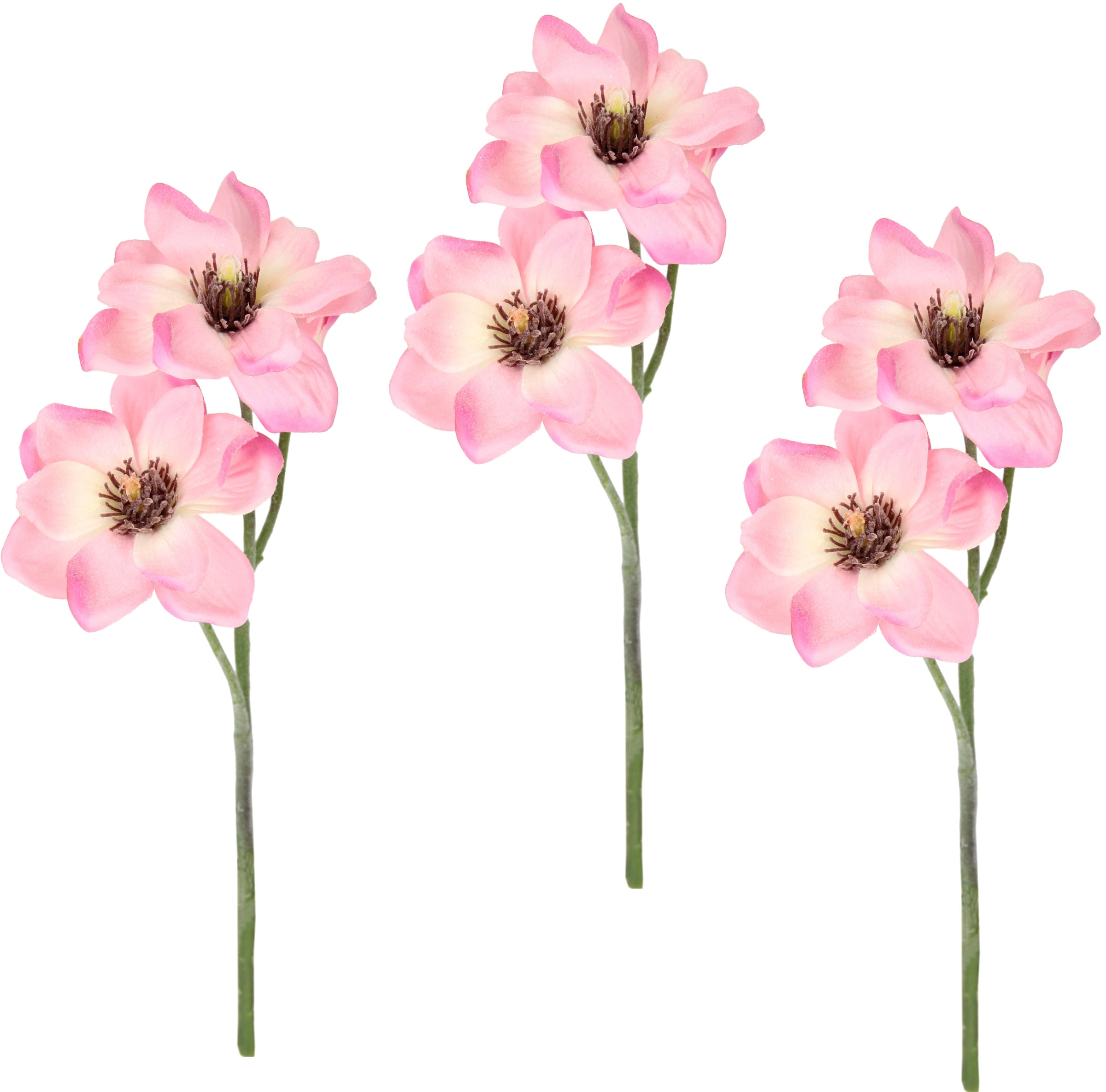 3er Künstlicher Magnolienzweig, »Magnolie«, Kunstblume Set online I.GE.A. kaufen