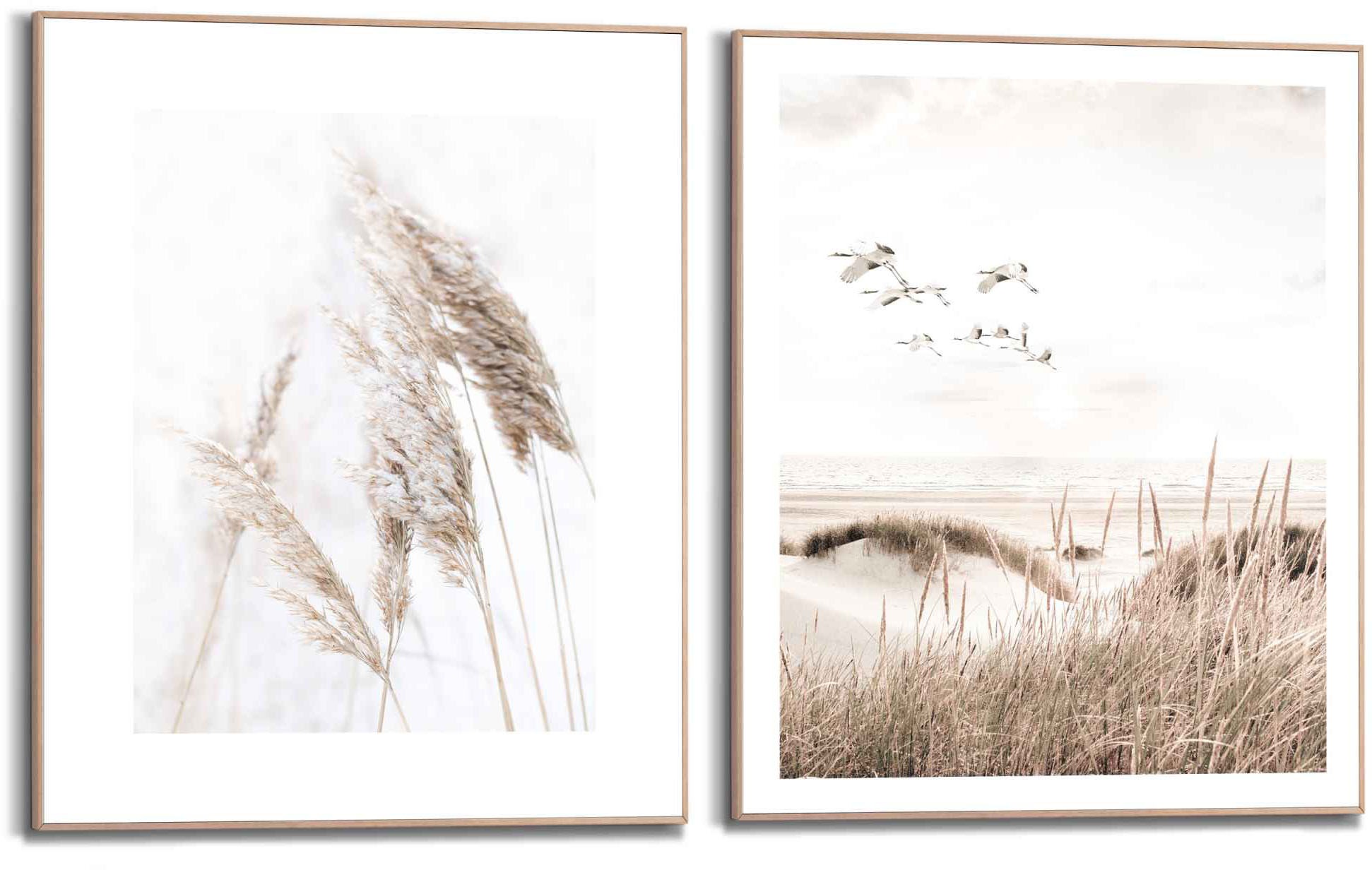 Reinders! Wandbild »Kraniche Strand - Natur - Botanisch - Freiheit«, (2 St.)