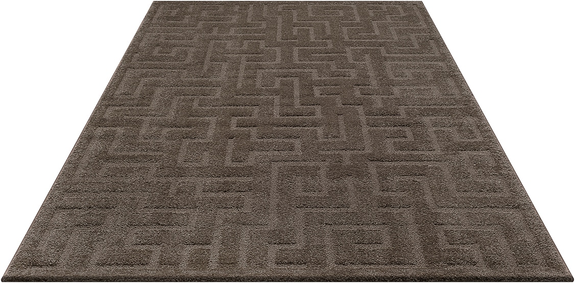 the carpet Designteppich »Elisa« rechteckig 15 mm Höhe mit klaren geometrischen Formen und Linien