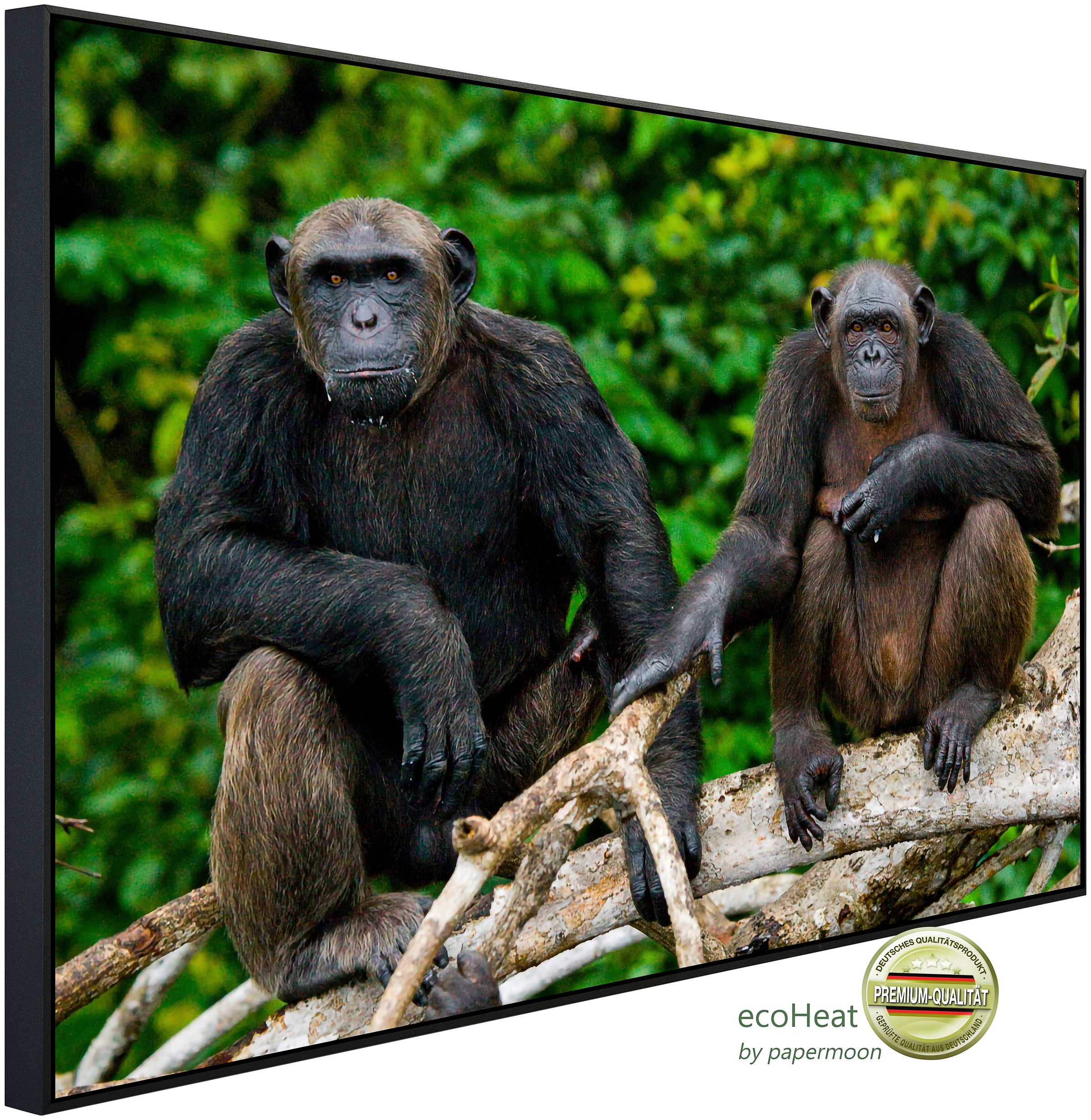 Papermoon Infrarotheizung »Schimpansen aus dem Kongo«, sehr angenehme Strah günstig online kaufen