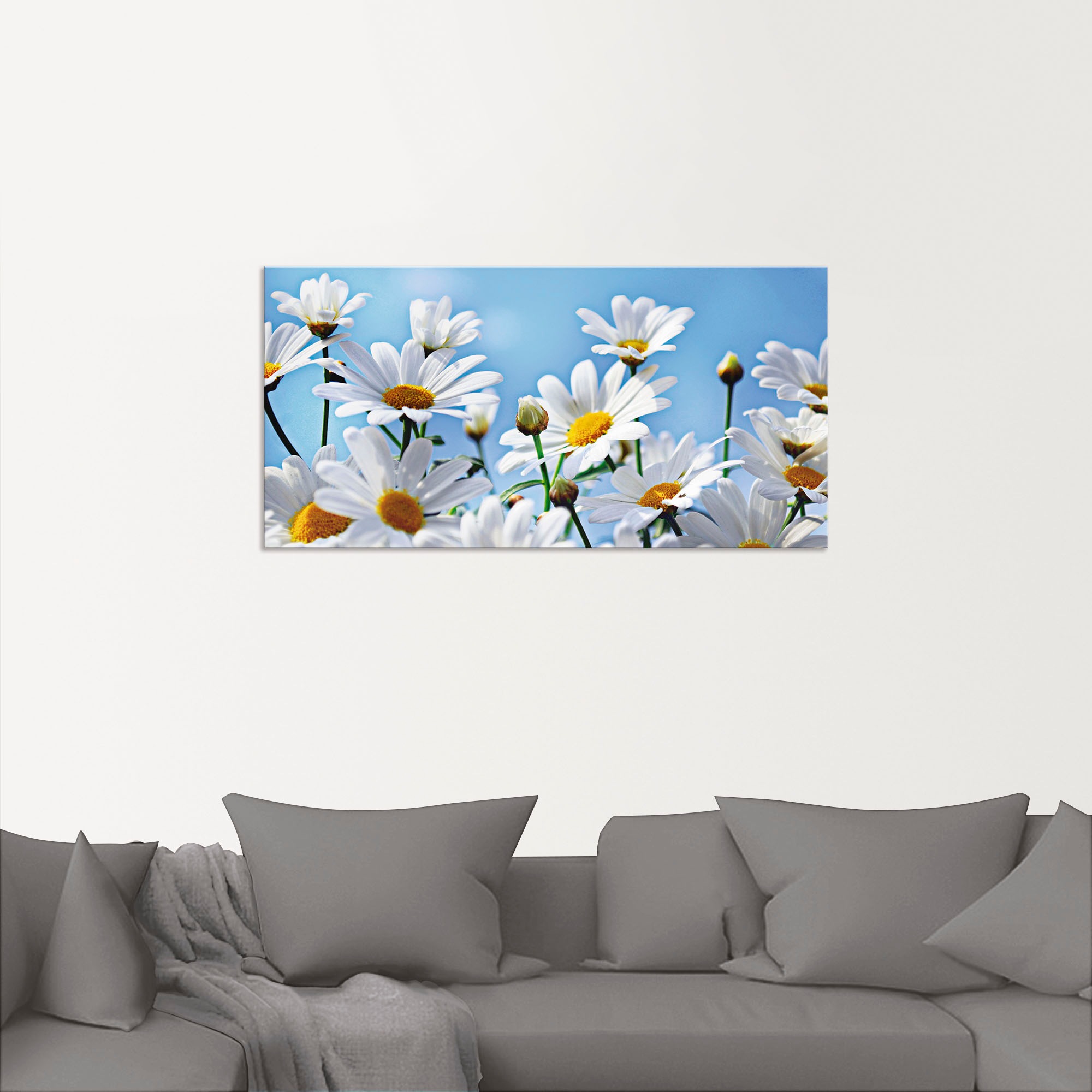 Artland Wandbild »Blumen - Margeriten«, Blumen, (1 St.), als Alubild, Outdoorbild, Leinwandbild in verschied. Größen