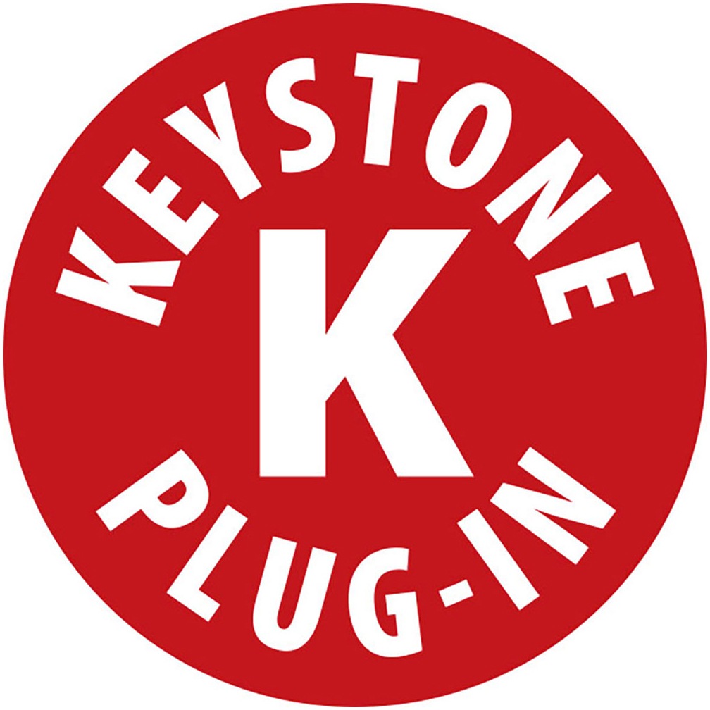 Brennenstuhl Steckdosenleiste »Duplex Tischsteckdosenleiste, 2x Keystone Module, 10x Schutzkontakt« (Ein- / Ausschalter )