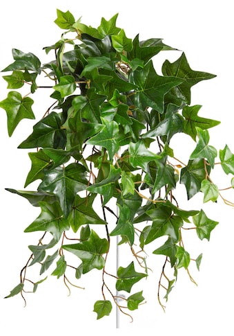 Botanic-Haus Künstliche Zimmerpflanze »Efeu-Hängebusch mit 10 Stielen«, (1 St.) kaufen