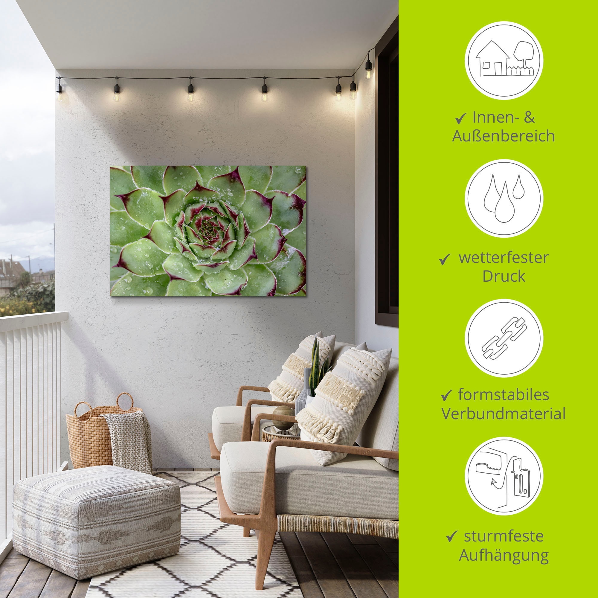 Artland Wandbild »Sukkulente mit Regentropfen«, Pflanzenbilder, (1 St.), als Alubild, Outdoorbild, Leinwandbild in verschied. Größen