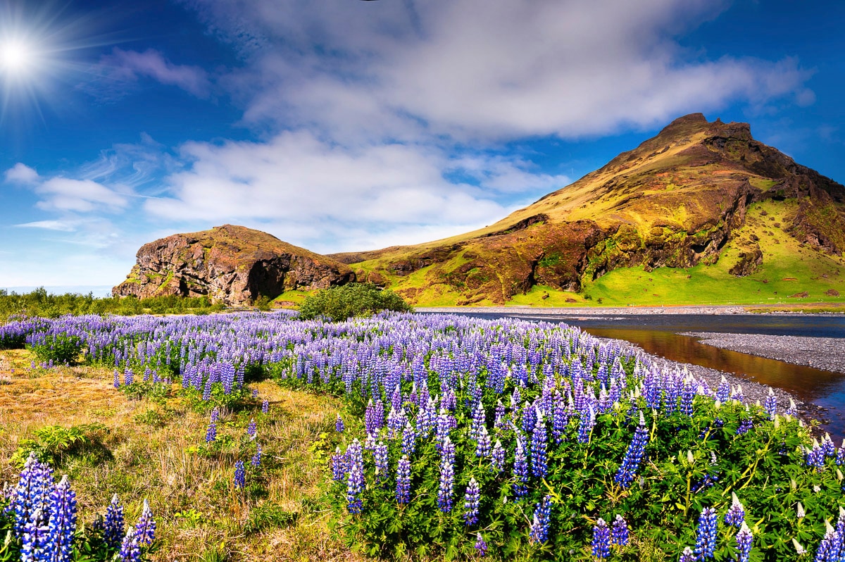 Papermoon Fototapete »BLUMEN LANDSCHAFT-SEE GEBIRGE BERGE LAVENDEL BLUME DE günstig online kaufen