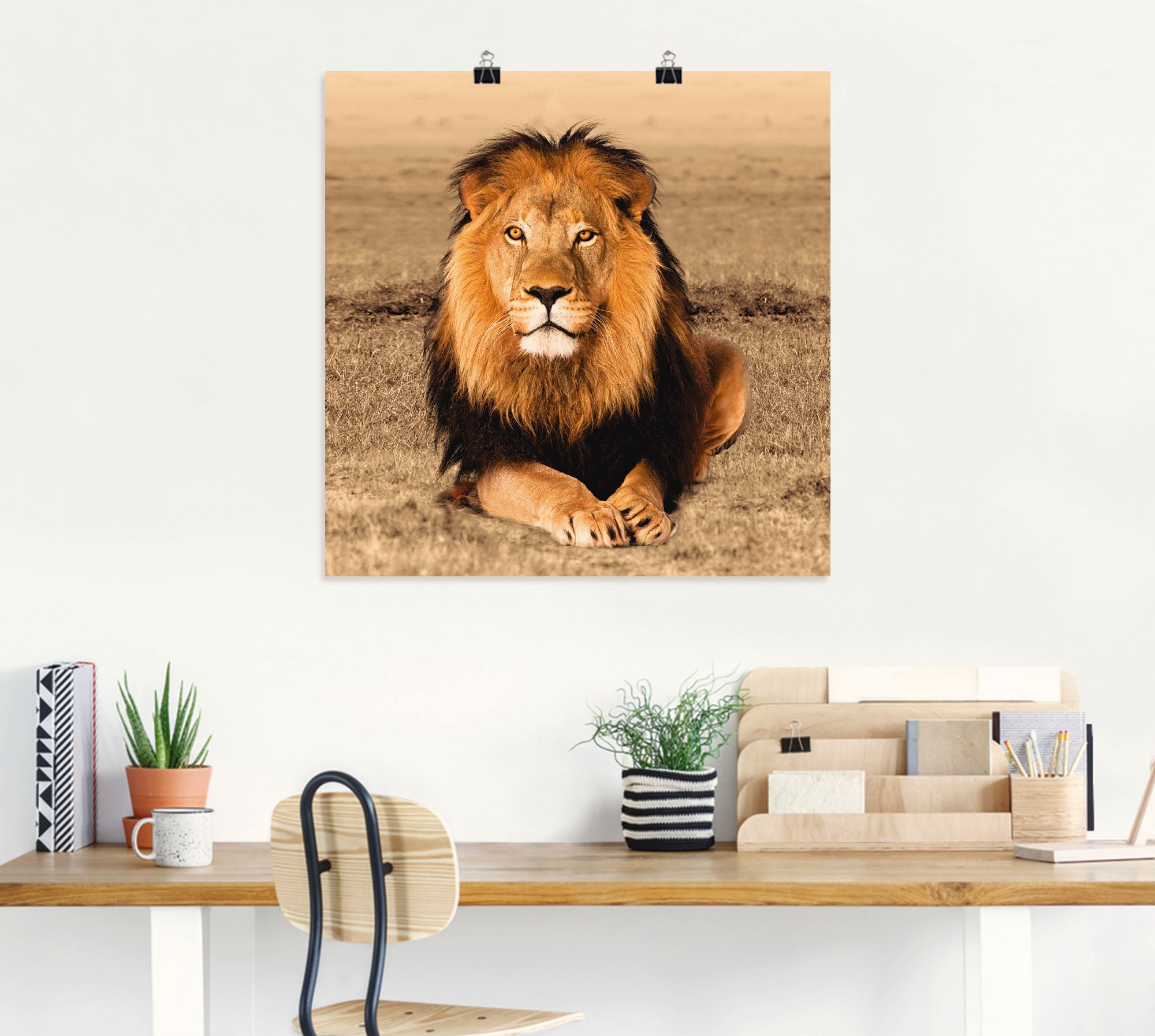Artland Wandbild »Löwe«, Wildtiere, Raten in Größen oder Poster versch. bestellen als St.), Alubild, Wandaufkleber auf (1 Leinwandbild