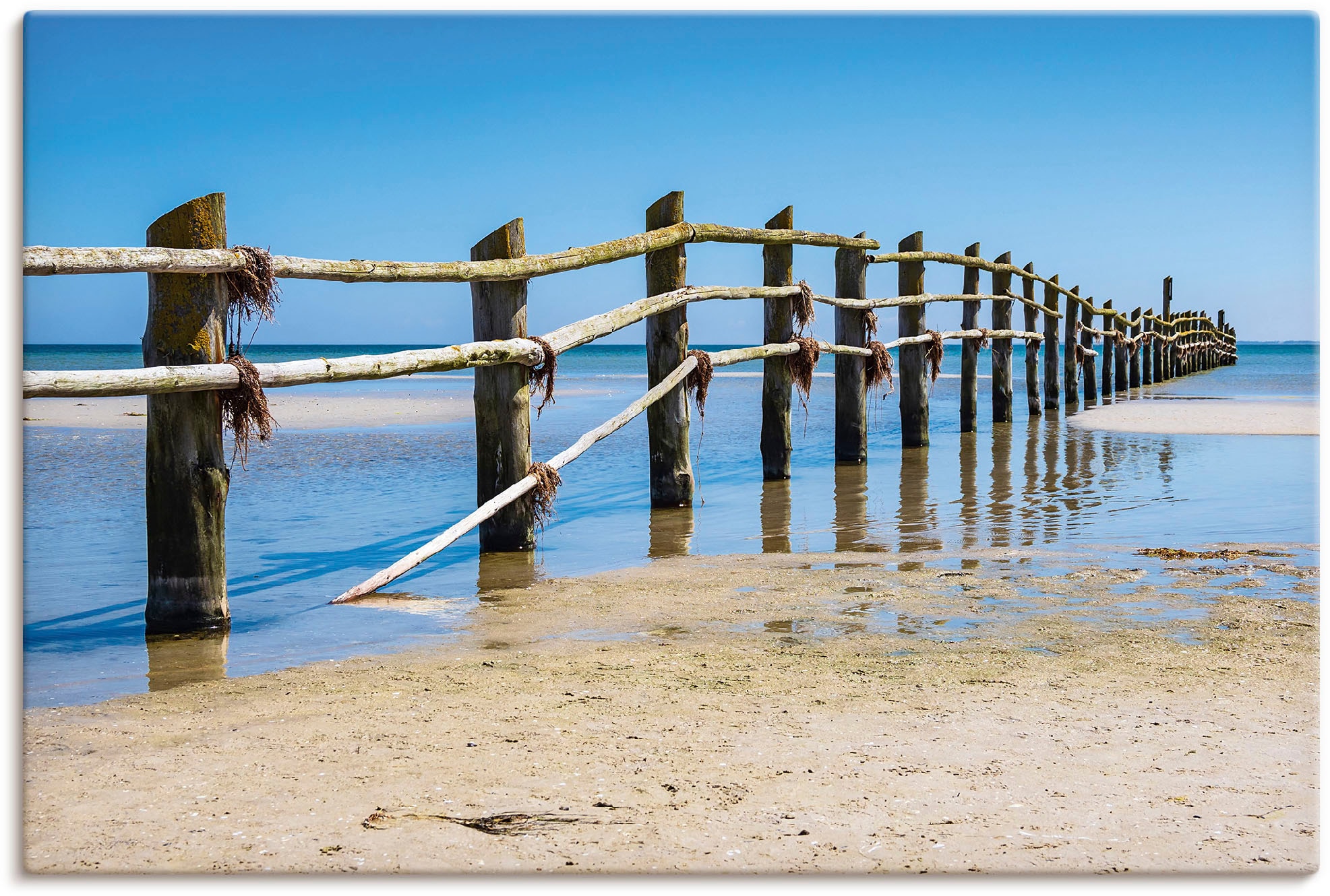 Artland Leinwandbild »Ostseeküste auf dem Fischland-Darß«, Strand, (1 St.), günstig online kaufen