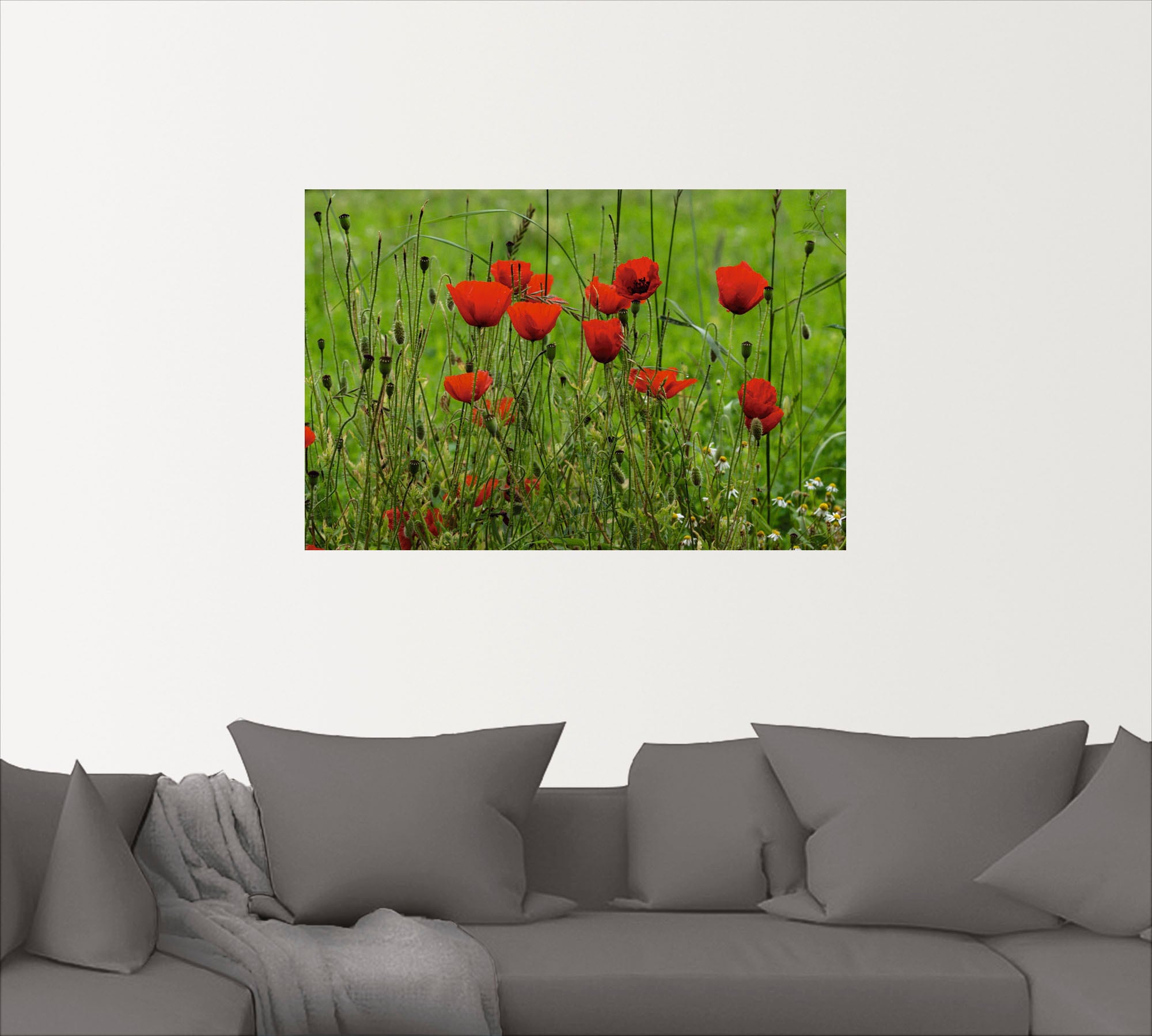 Artland Wandfolie »Mohnblumen am Wegesrand«, Blumen, (1 St.), selbstklebend