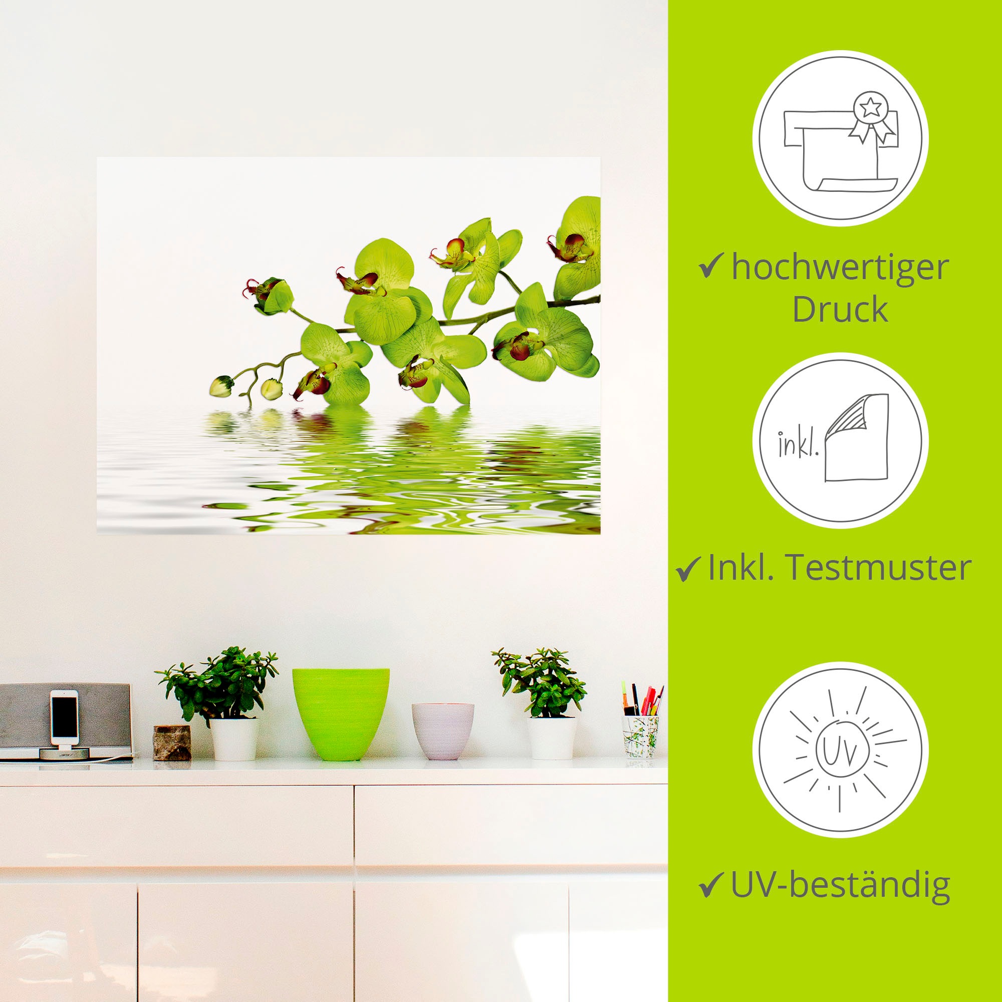 Artland Wandbild »Schöne Orchidee mit grünem Hintergrund«, Blumen, (1 St.), als Leinwandbild, Wandaufkleber in verschied. Größen
