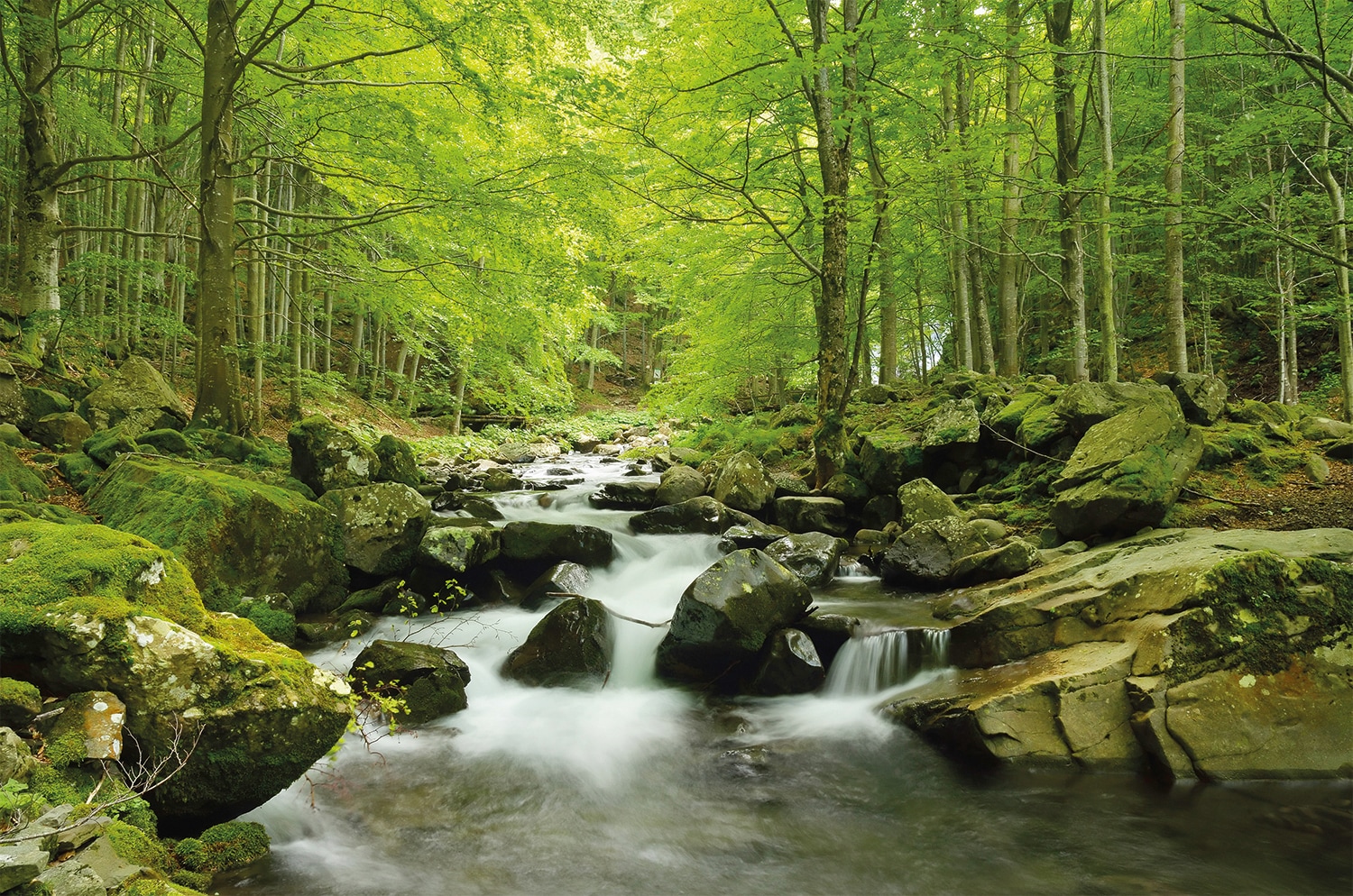 Papermoon Fototapete »Soft Water Stream« glatt günstig online kaufen
