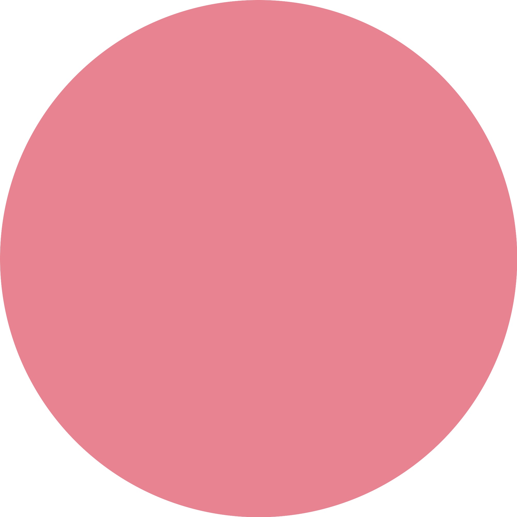 Essence Rouge »soft BAKED BLUSH«