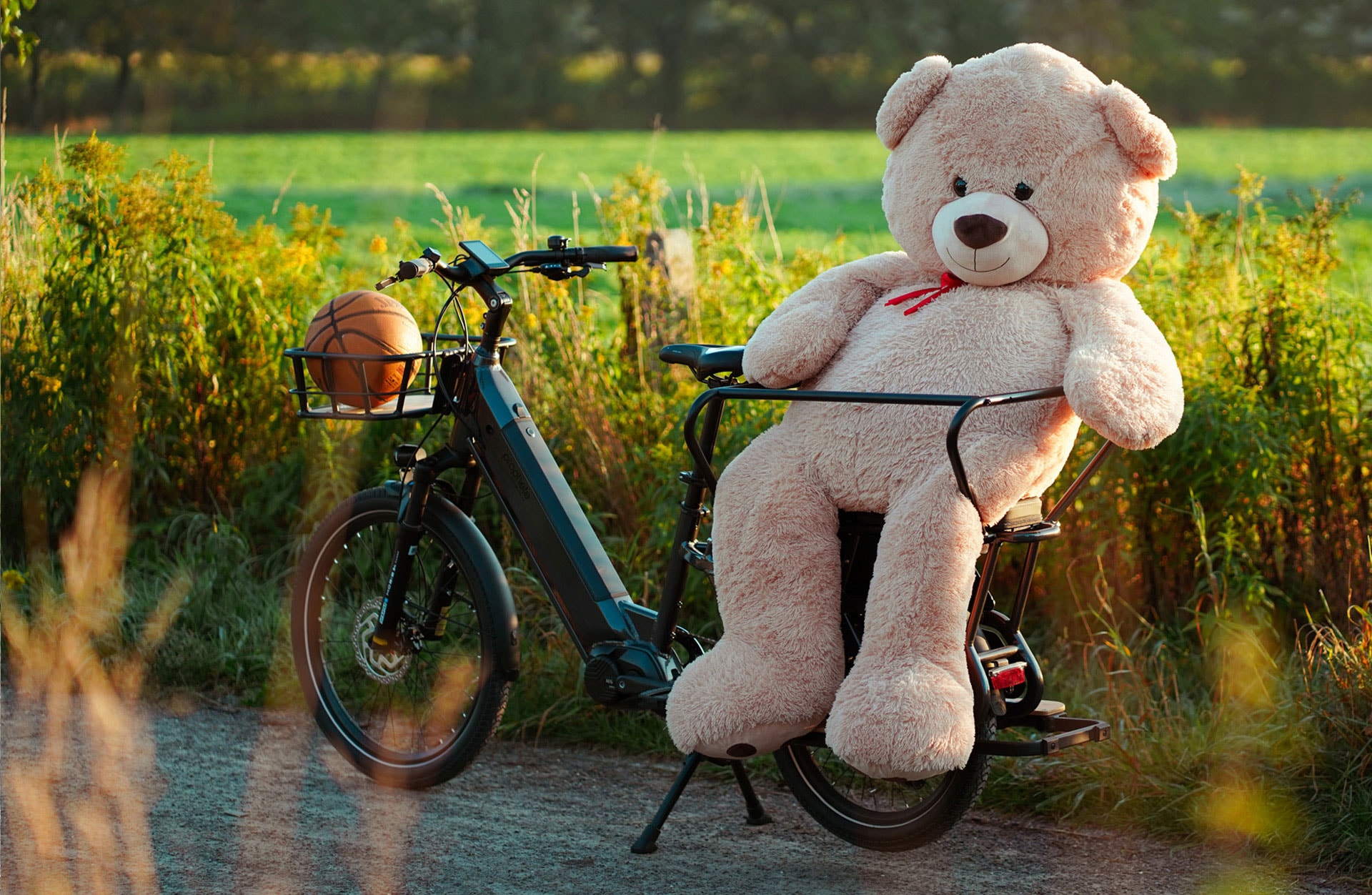 Prophete »Urbanicer 4.0« 9 Gang Shimano Cues Schaltwerk Kettenschaltung Mittelmotor 250 W Pedelec, Elektrofahrrad für Damen und Herren