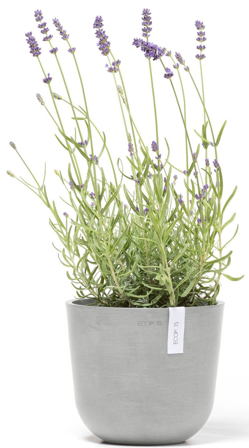 ECOPOTS Blumentopf »Oslo Mini 19 Weißgrau« für den Innenbereich