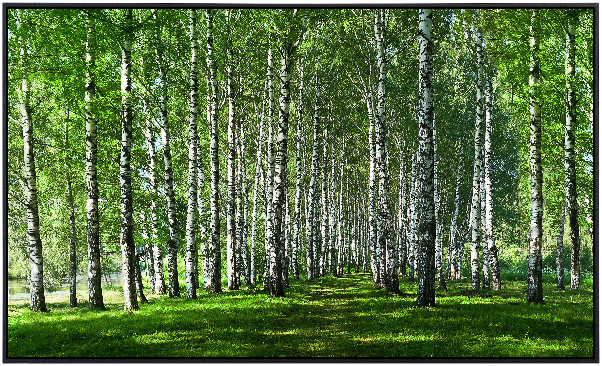 Papermoon Infrarotheizung »Birkenwald«, sehr angenehme Strahlungswärme