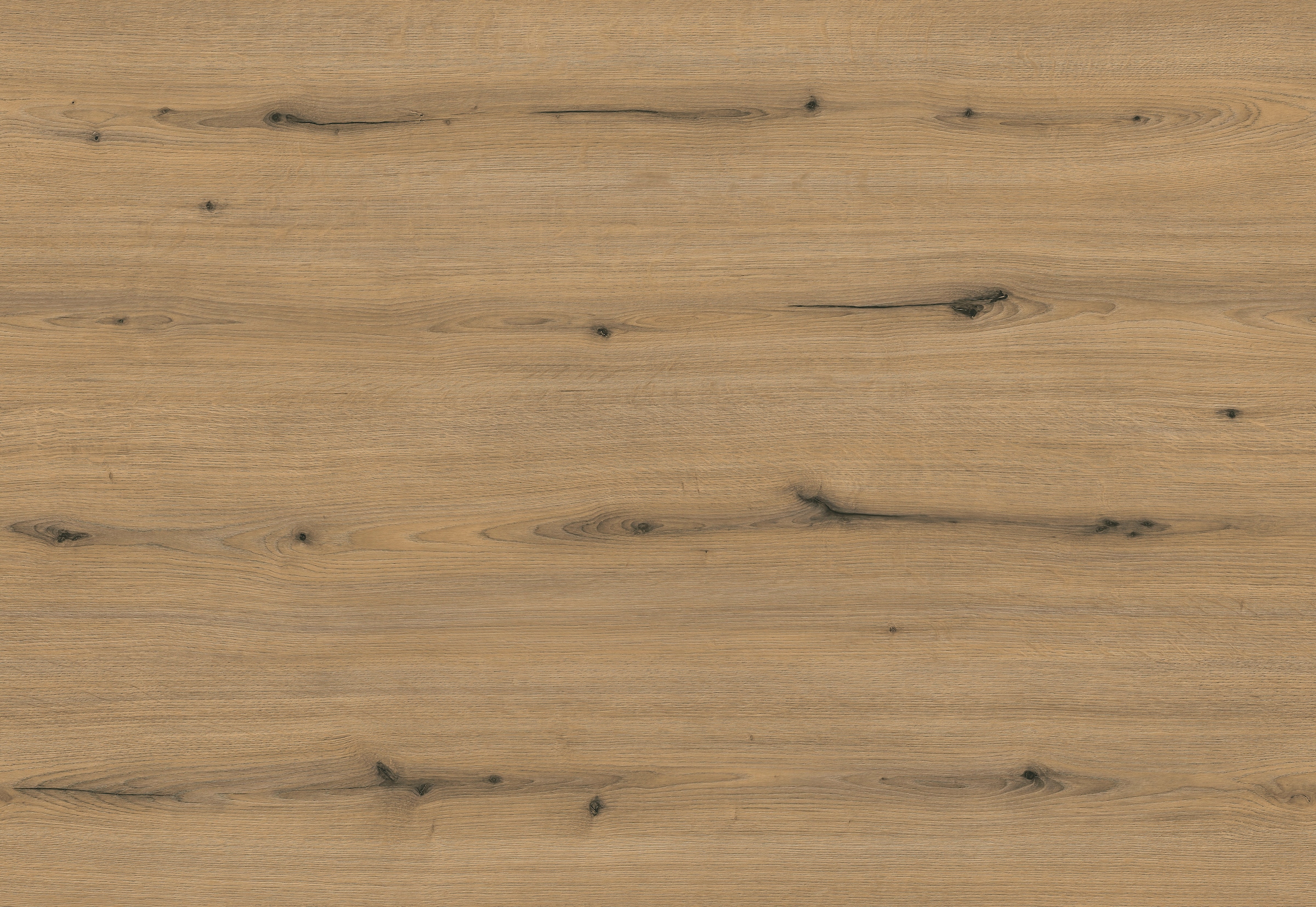 Express Küchen Vorratsschrank »ARTA« vormontiert, Breite 60 cm, Höhe 207 cm