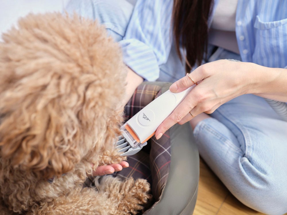 eta Bodenstaubsauger »Pet Master«, 350 W