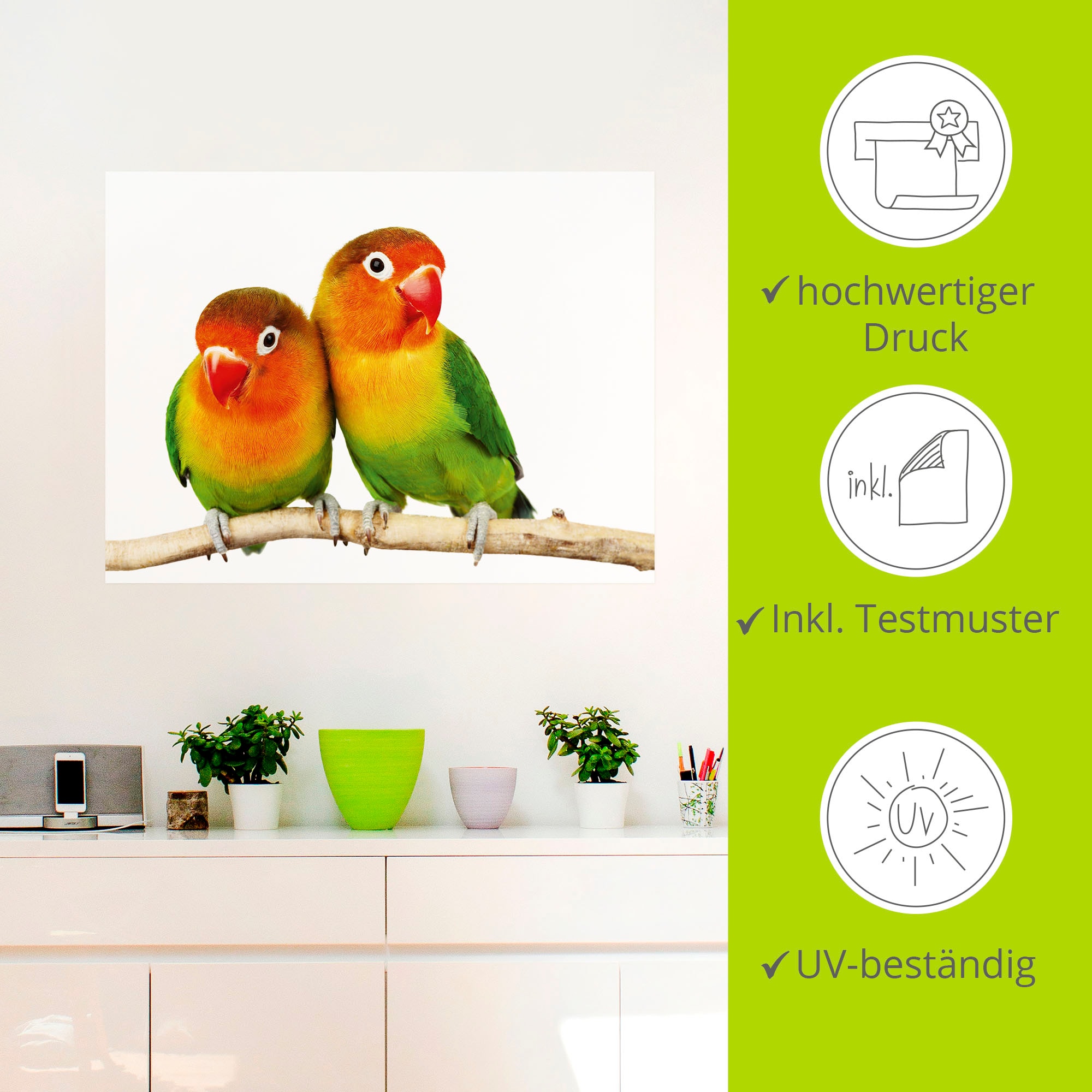 Artland Wandbild »Paar von Grauköpfchen - Papageien«, Vögel, (1 St.), als Leinwandbild, Poster, Wandaufkleber in verschied. Größen
