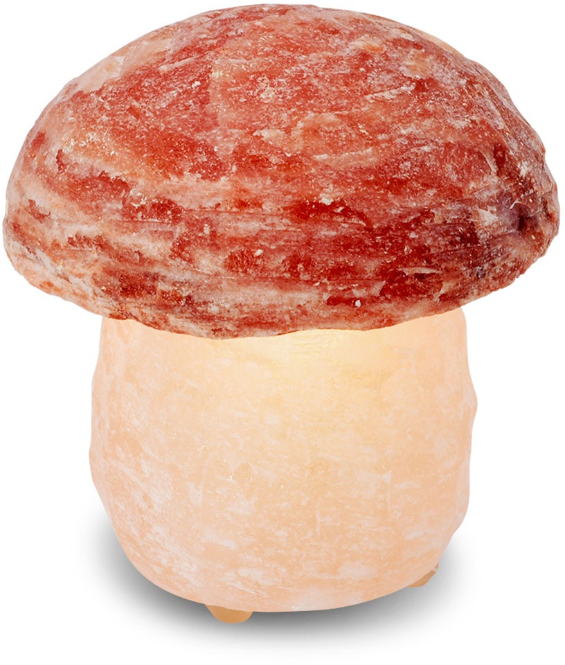 HIMALAYA SALT DREAMS Salzkristall-Tischlampe »Pilz«, Leuchtmittel E14   Leu günstig online kaufen