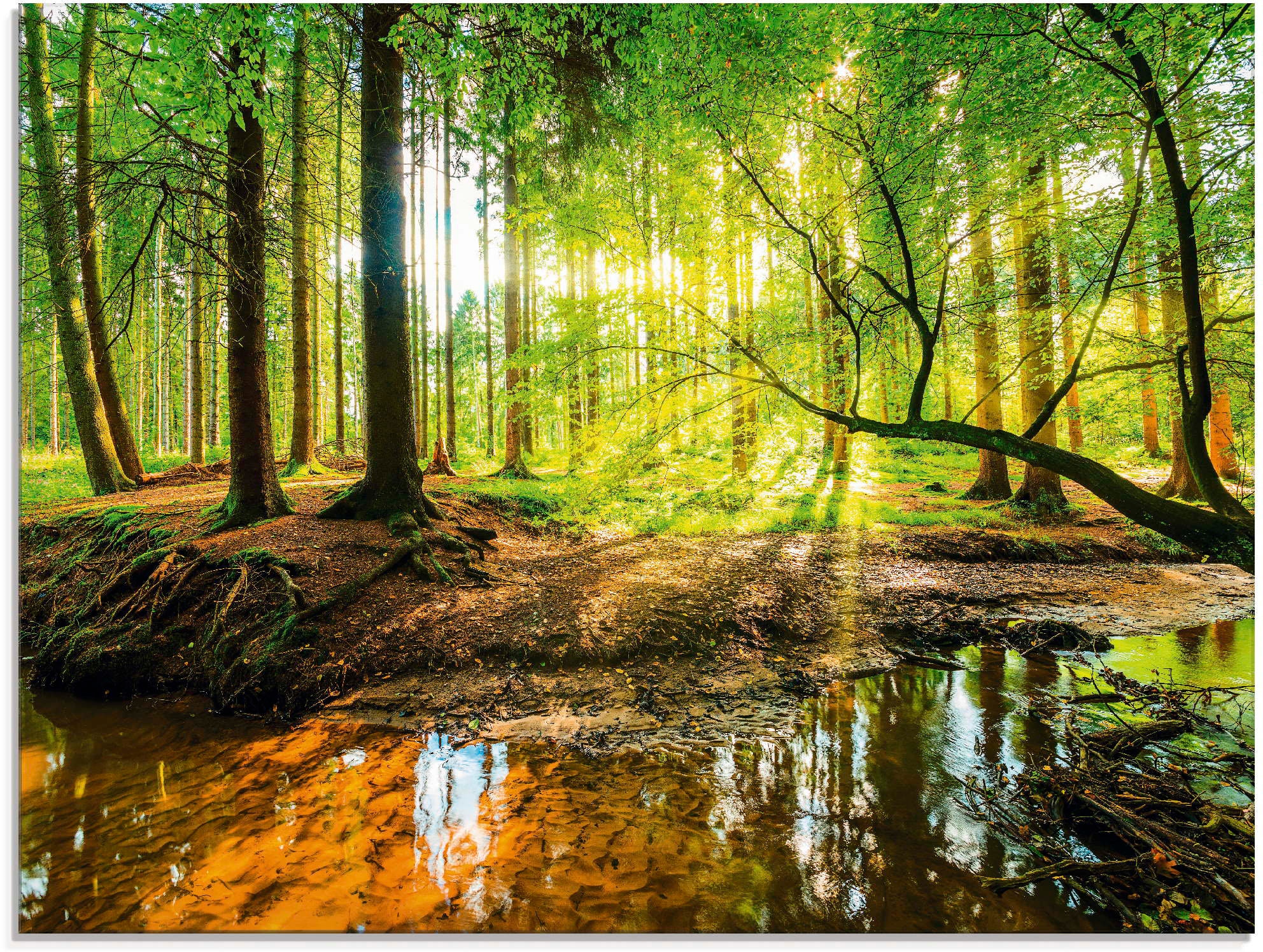 Artland Glasbild "Wald mit Bach", Wald, (1 St.), in verschiedenen Größen günstig online kaufen