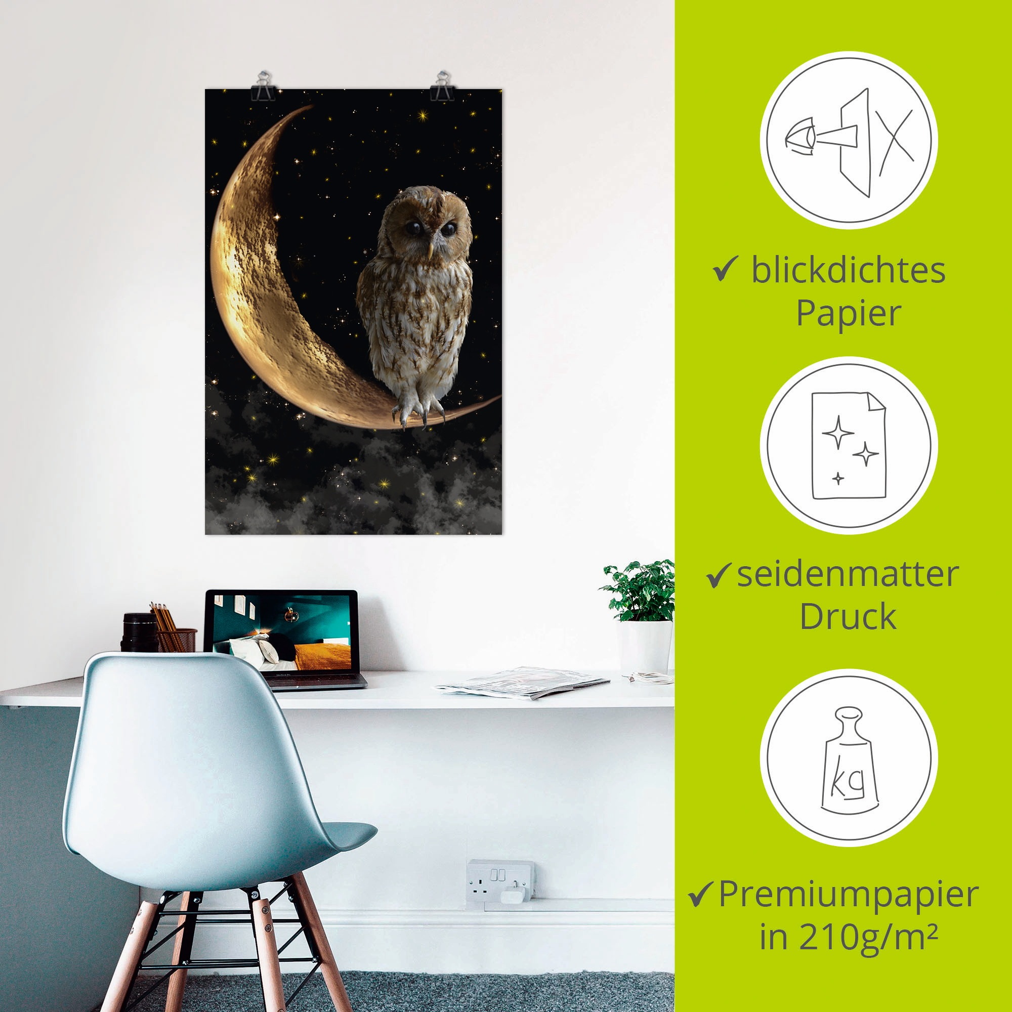 Artland Wandbild »Nachteule« Vögel 1 Stk. tlg. als Alubild, Outdoorbild, Leinwandbild, Poster in verschied. Größen