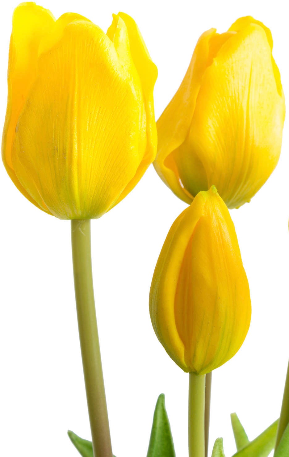 Botanic-Haus Kunstblume »Tulpenbündel«