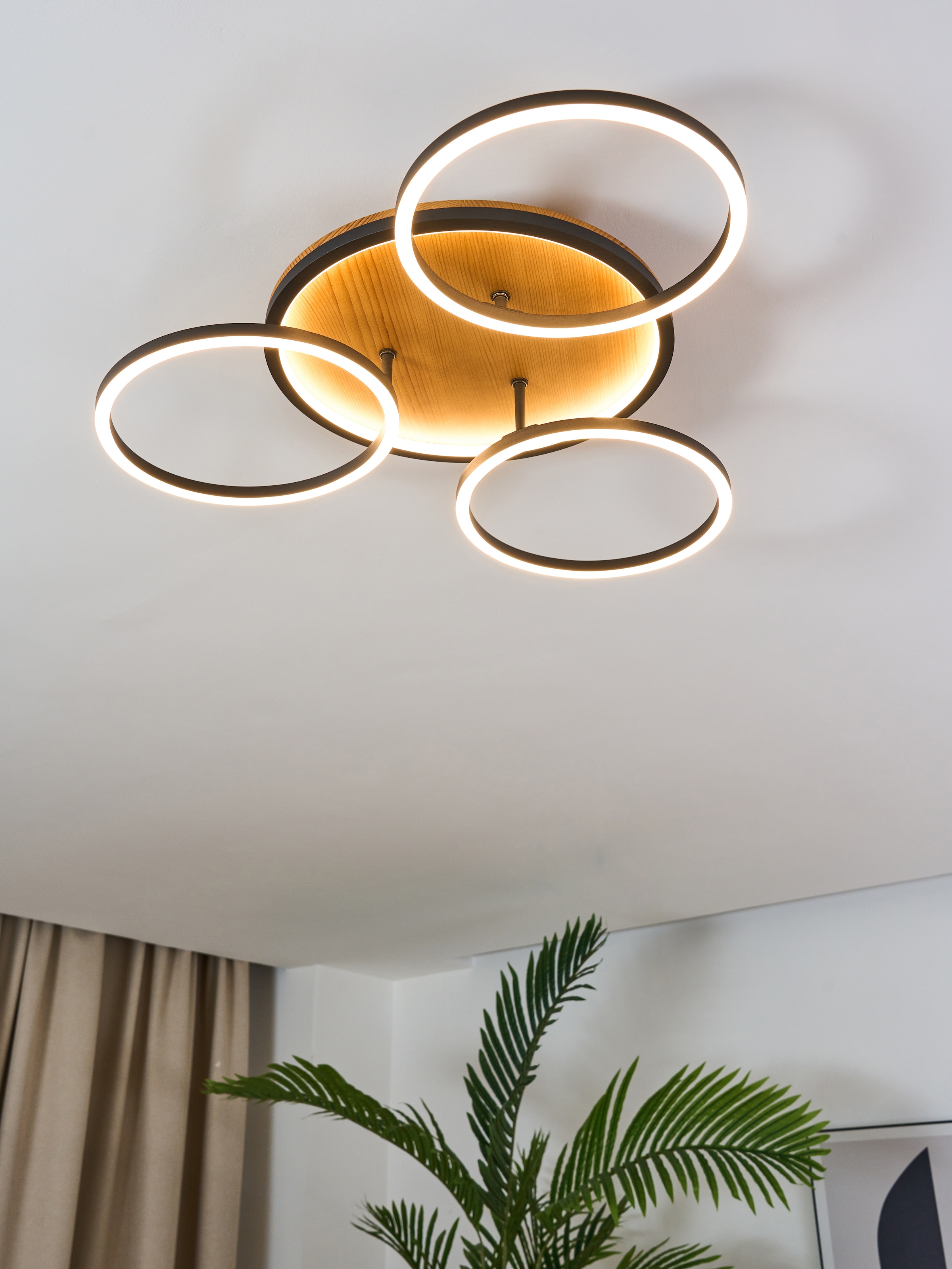 ECO-LIGHT LED Deckenleuchte »LED-Deckenleuchte KIRU«, 3 flammig, Leuchtmittel LED-Board | LED fest integriert