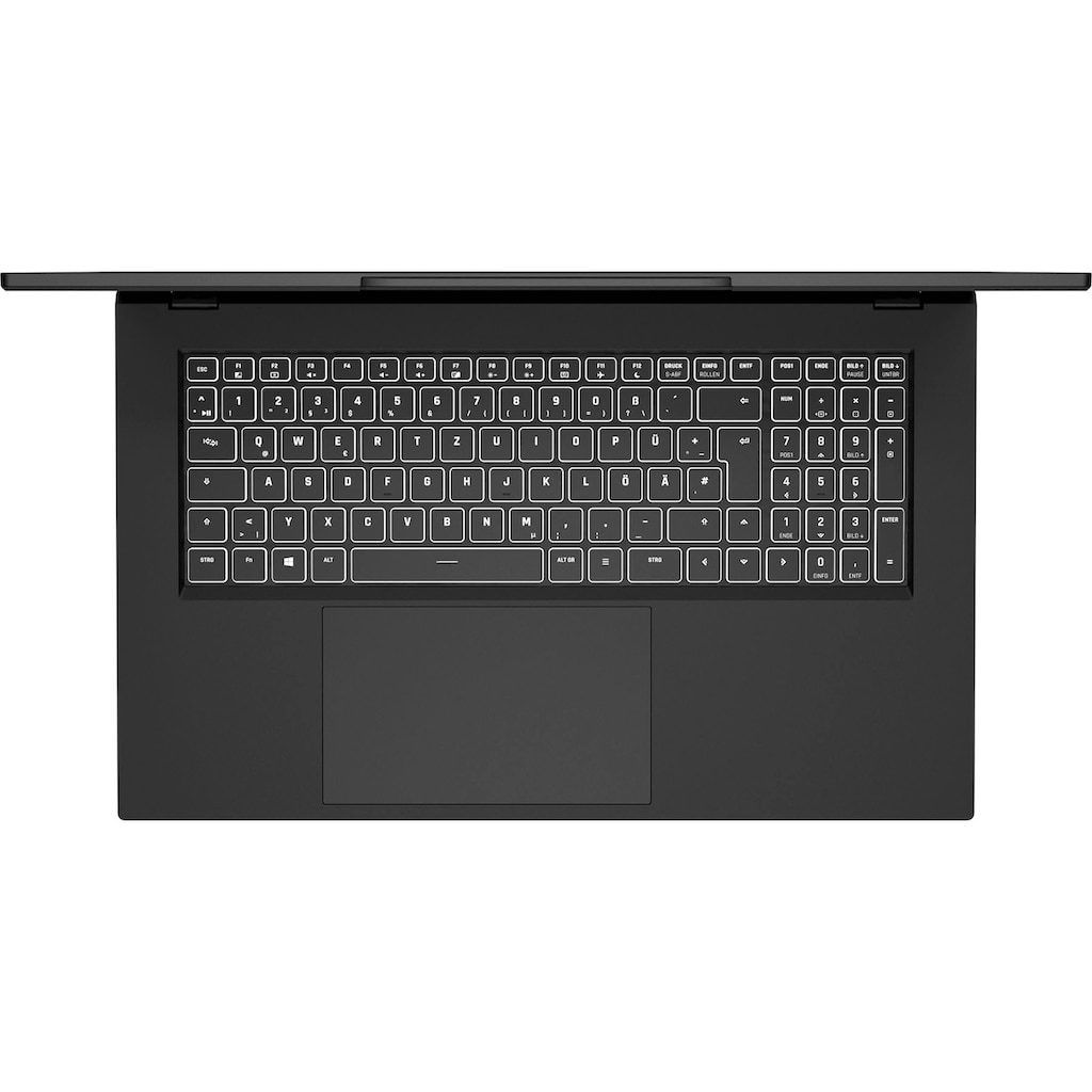 Schenker Notebook »WORK 17 - E21cfk«, 43,94 cm, / 17,3 Zoll, Intel, Core i7, Iris Xe Graphics, 500 GB SSD