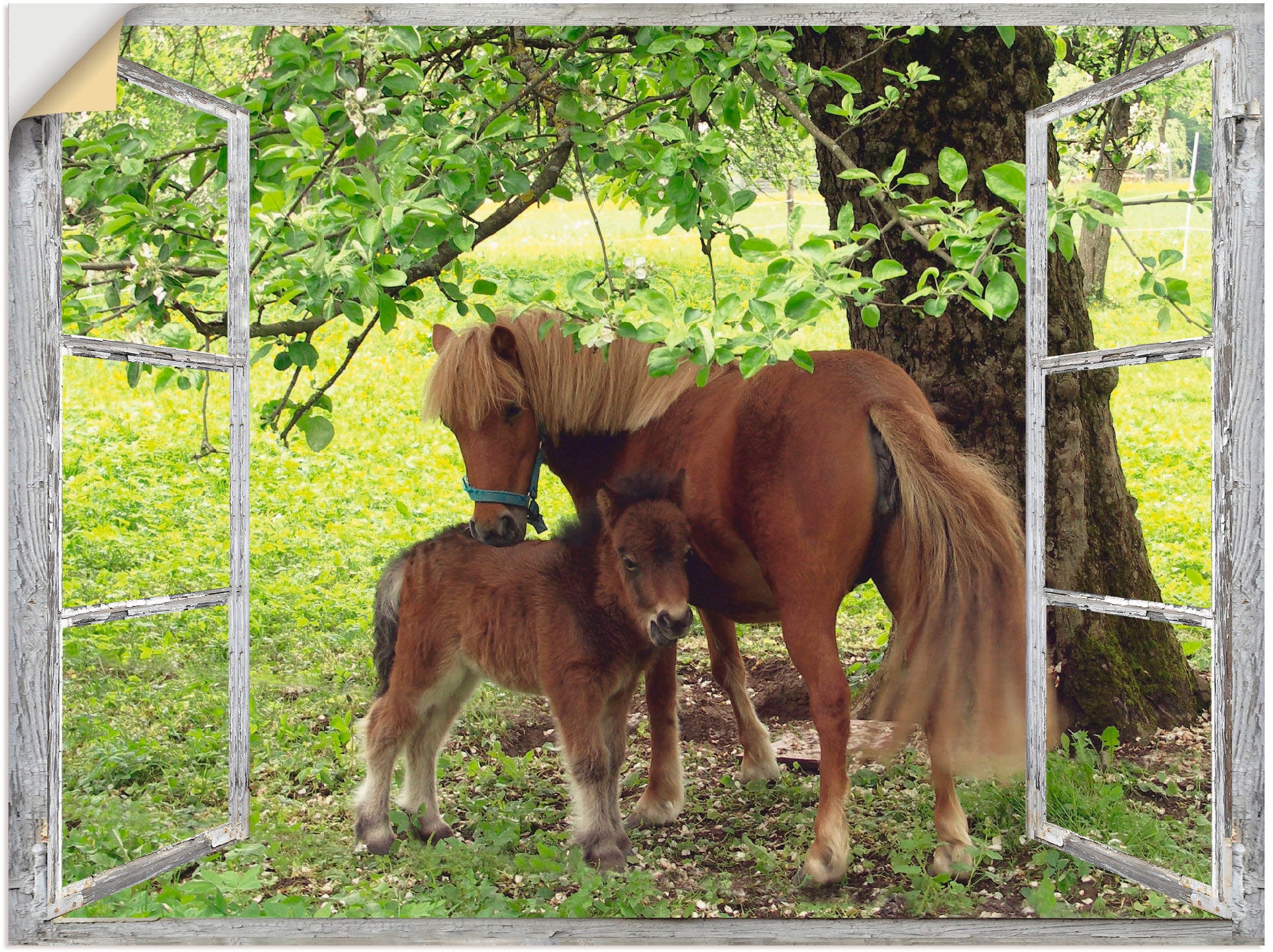 Artland Wandbild »Fensterblick - Pony mit Kind«, Haustiere, (1 St.), als Le günstig online kaufen