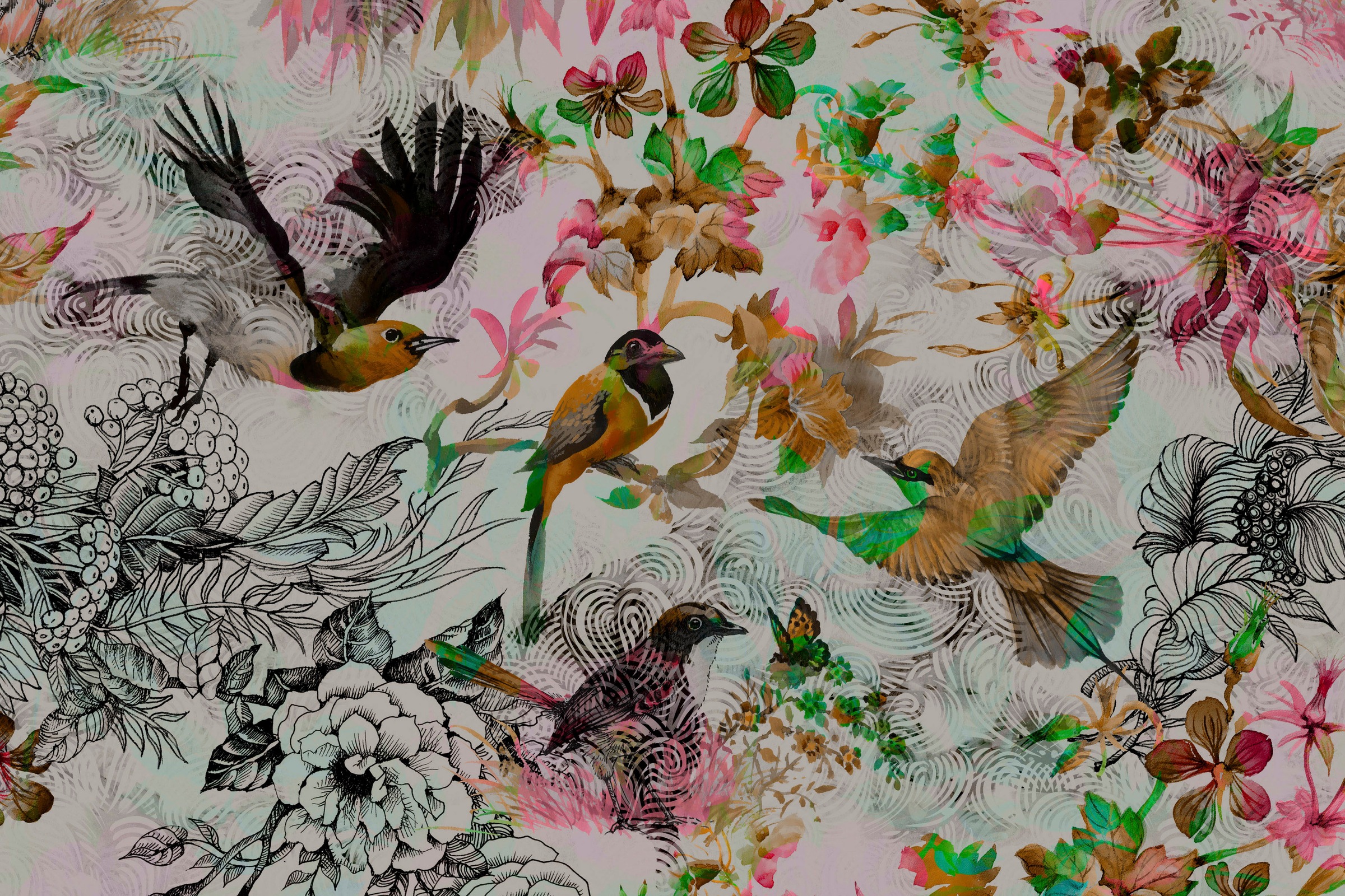 A.S. Création Leinwandbild »funky birds«, Kunst-Vögel-Kinder, (1 St.), Keilrahmen Bild mit Vögel Floral Leinwand-Bild Wohnzimmer modern Wand