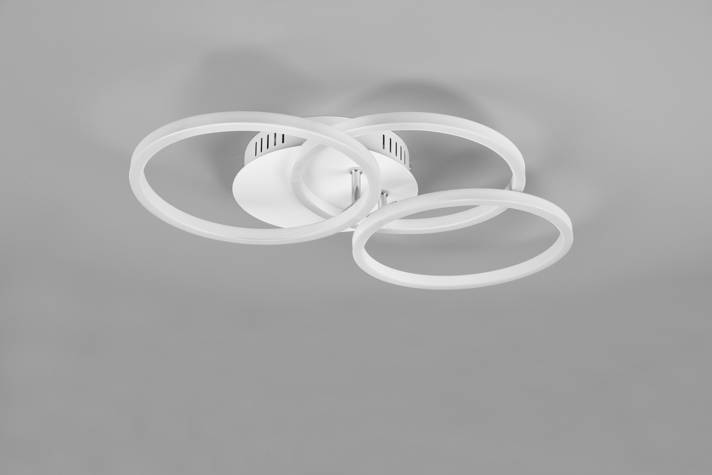 Ringen weiß LED matt Raten Fernbedienung inkl. TRIO / mit Deckenlampe Leuchten 1 flammig-flammig, schwenkbaren Deckenleuchte »Circle«, auf bestellen