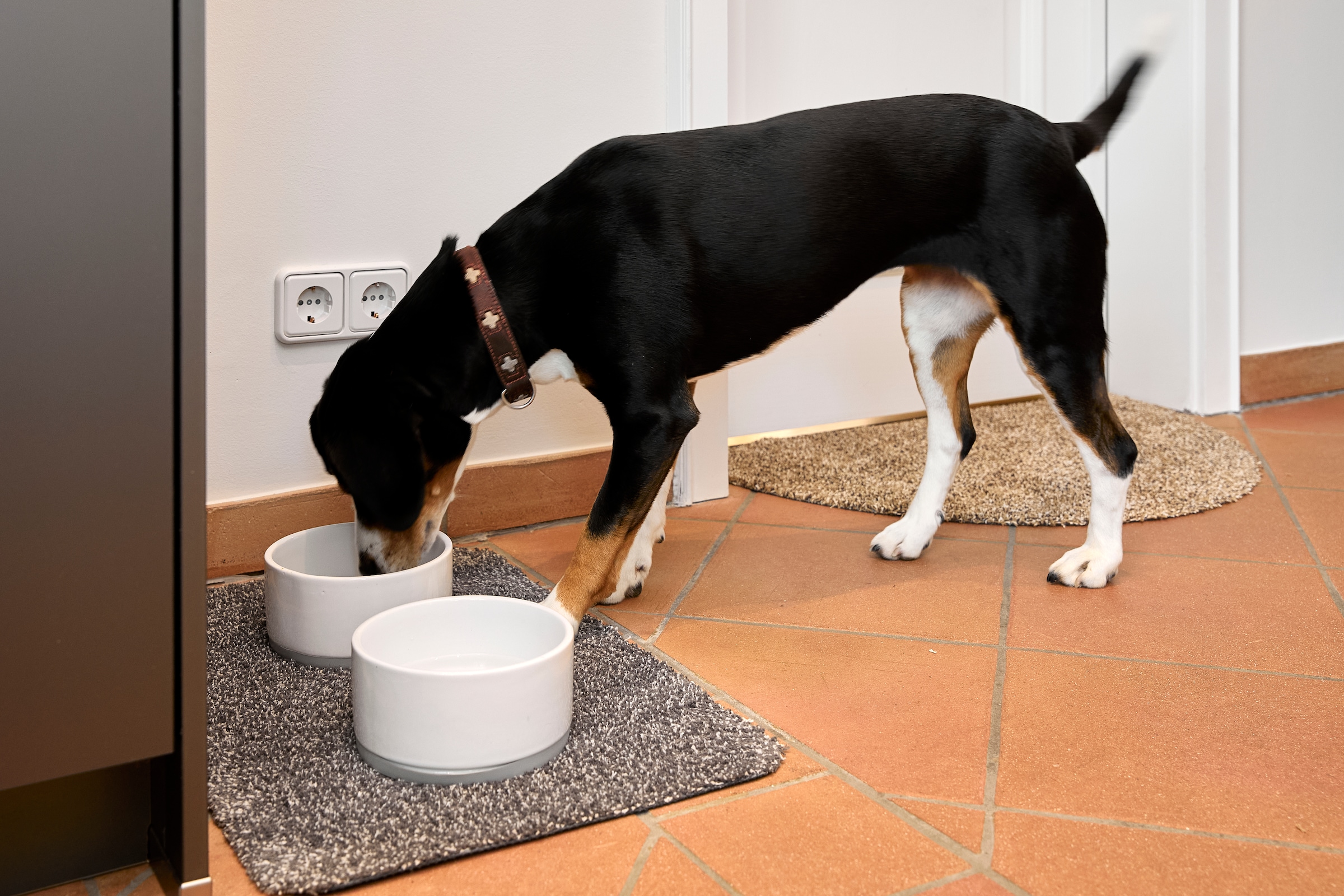 ASTRA Fußmatte »Saugstark 601« rechteckig 9 mm Höhe Schmutzfangmatte, In -und Outdoor geeignet