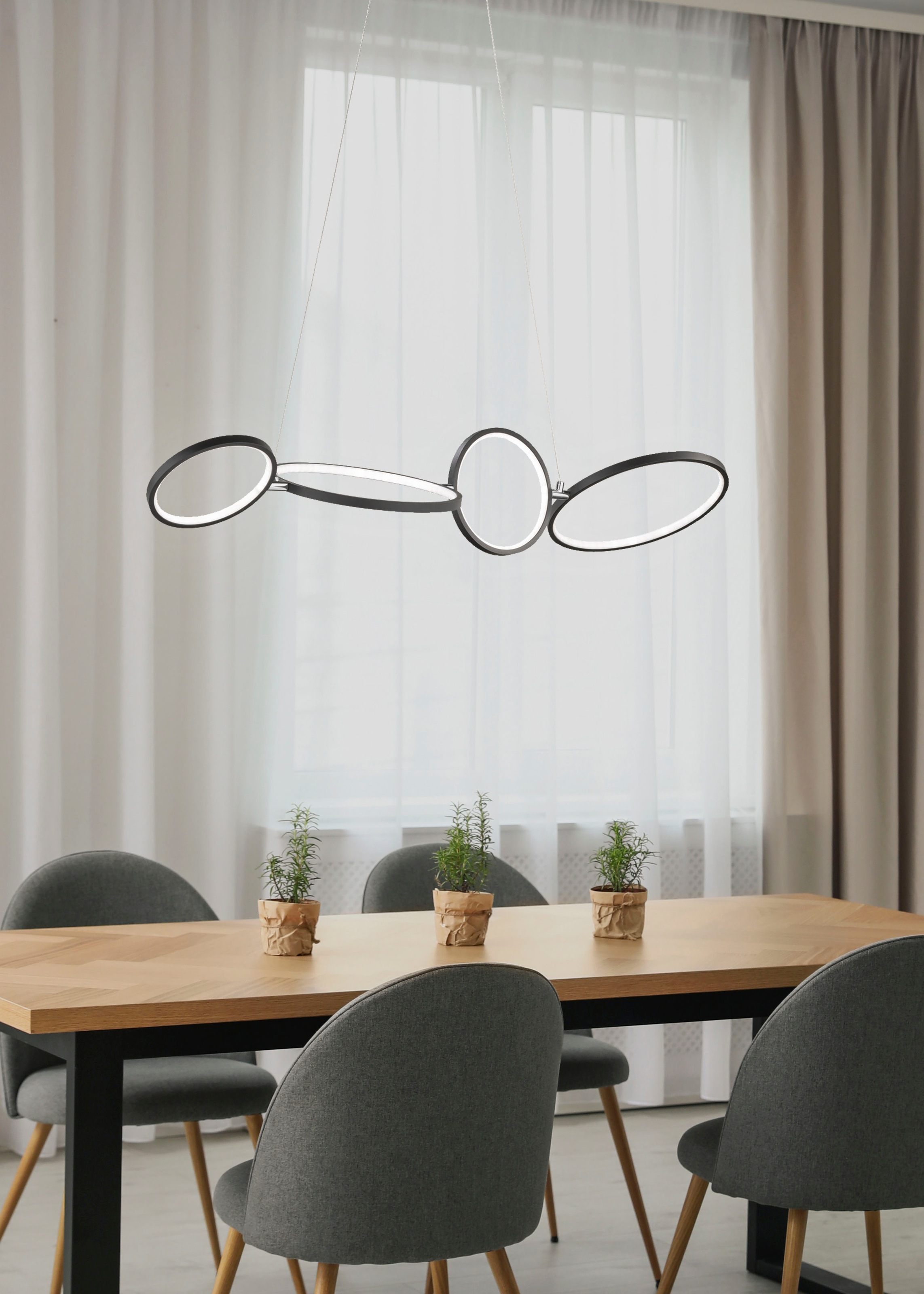 TRIO Leuchten LED Pendelleuchte »Rondo«, 4 flammig, Leuchtmittel LED-Board günstig online kaufen