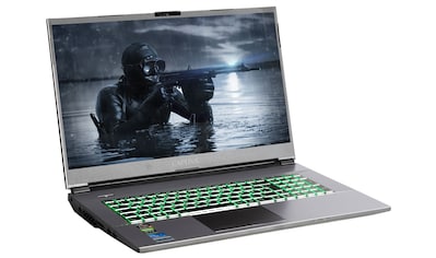 CAPTIVA Gaming-Notebook »Advanced Gaming R65-681CH«, (43,9 cm/17,3 Zoll), AMD, Ryzen... kaufen