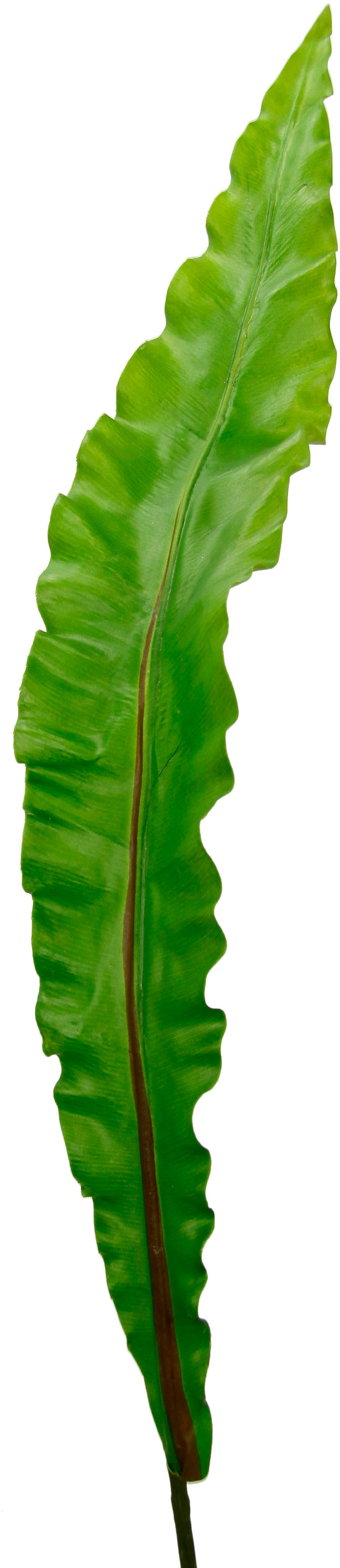 I.GE.A. Kunstpflanze »Nestfarnblatt«, Monstera, Kunstzweig, 3er Set