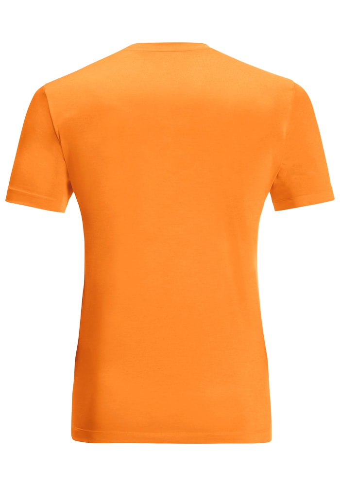 Jack Wolfskin T-Shirt »HIKING S/S T M«