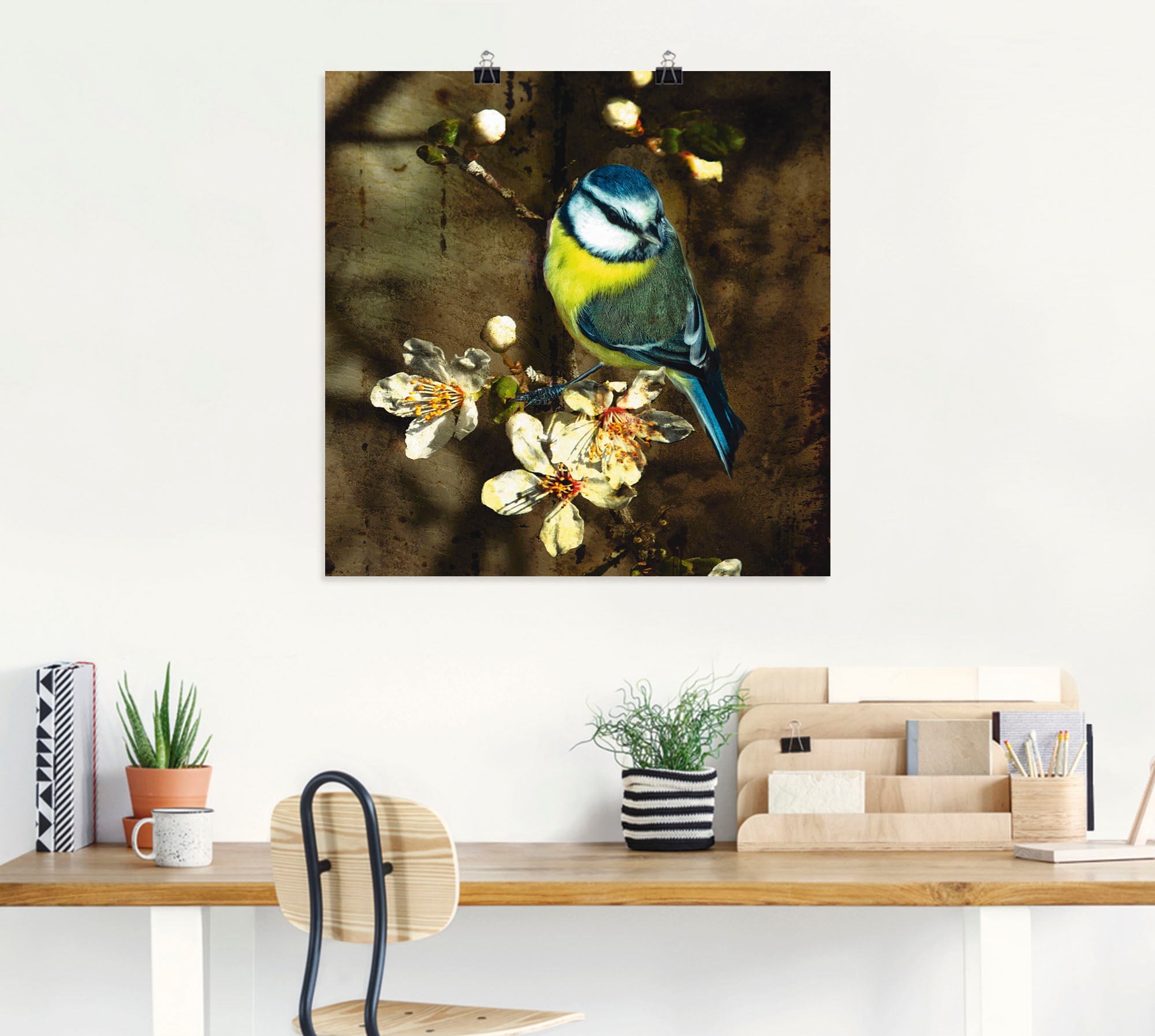 Artland Wandbild »Blaumeise auf Kirschzweig«, Vögel, (1 St.), als Alubild, Outdoorbild, Leinwandbild, Poster in verschied. Größen