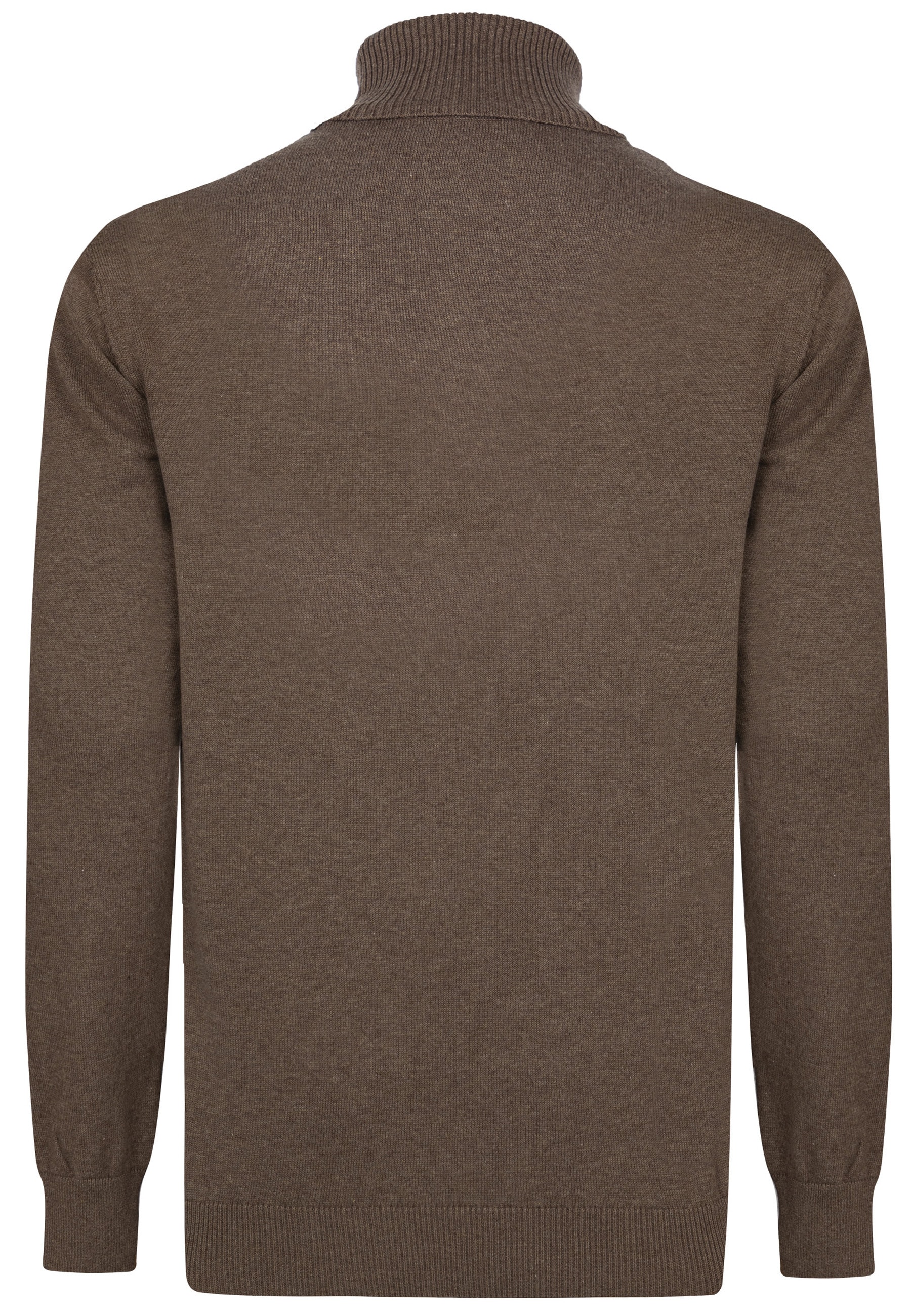 Felix Hardy Rollkragenpullover »Rollkragenpullover 2er-Pack«