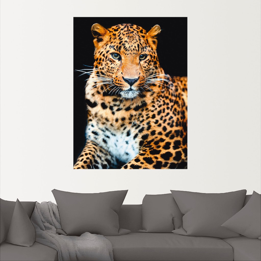 Artland Wandbild »Wütender wilder Leopard«, Wildtiere, (1 St.)