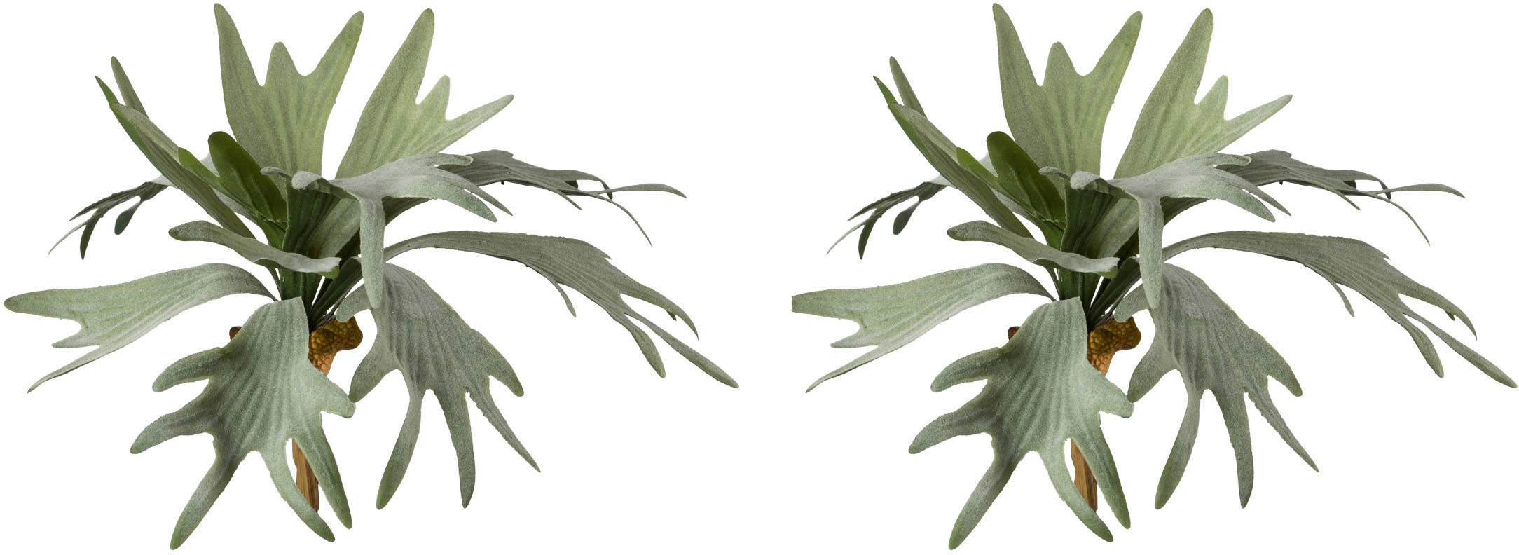 CREATIV GREEN Kunstzweig »Geweihfarn« grün Obermaterial: 100% Polyethylen