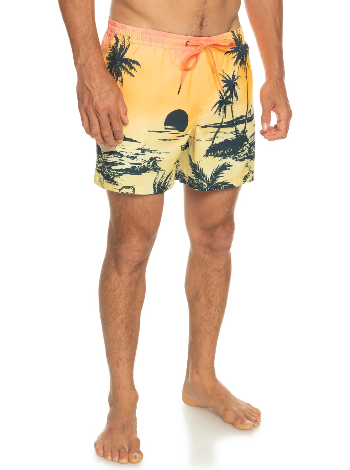 Quiksilver Boardshorts »Everyday Paradise 15"«
