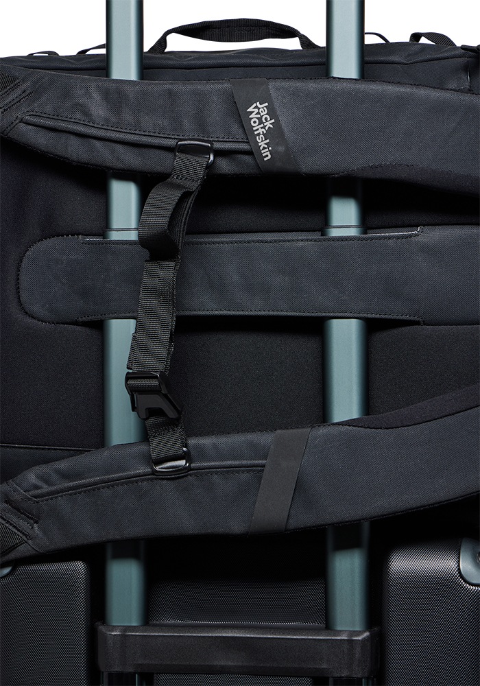 Jack Wolfskin Board Bag »TRAVELTOPIA CABIN PACK 30«