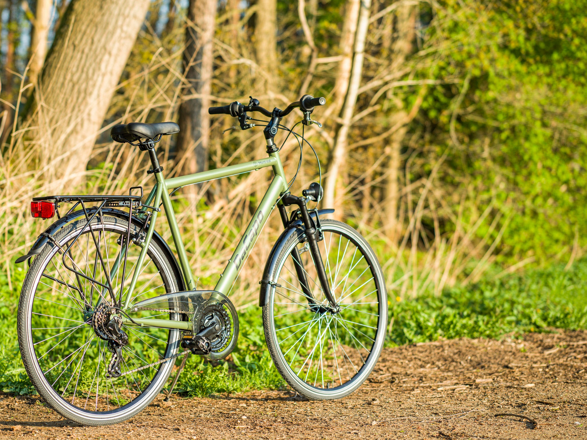 Dacapo Trekkingrad »Trekkingrad Herren 28'' Montreal Olivgrün 21 Gänge RH 58 cm«, 21 Gang, Kettenschaltung