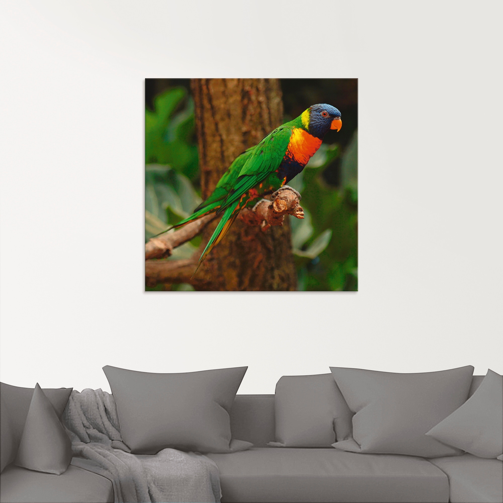 Artland Glasbild »Allfarblori im Baum«, in kaufen online Vögel, verschiedenen St.), Größen (1