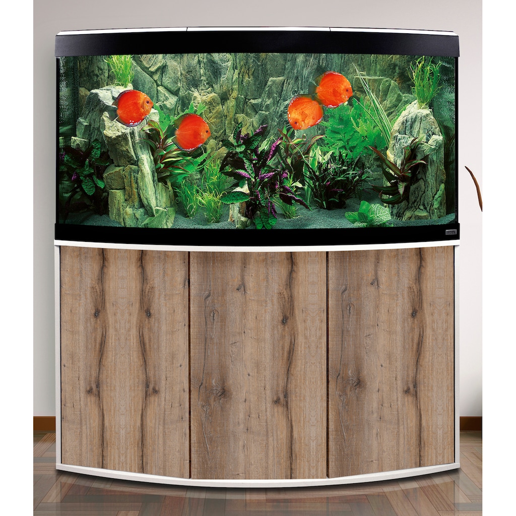 FLUVAL Aquarien-Set »Vicenza 260 mit App-Steuerung«